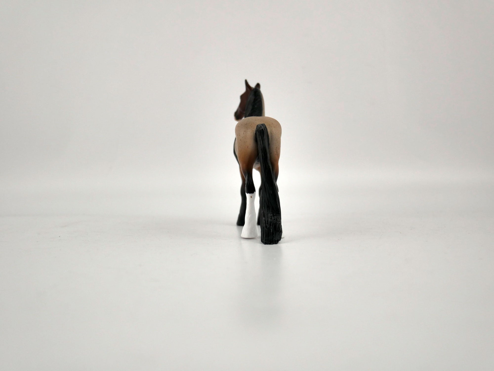 What is inside the Box&gt; Monte 12/20