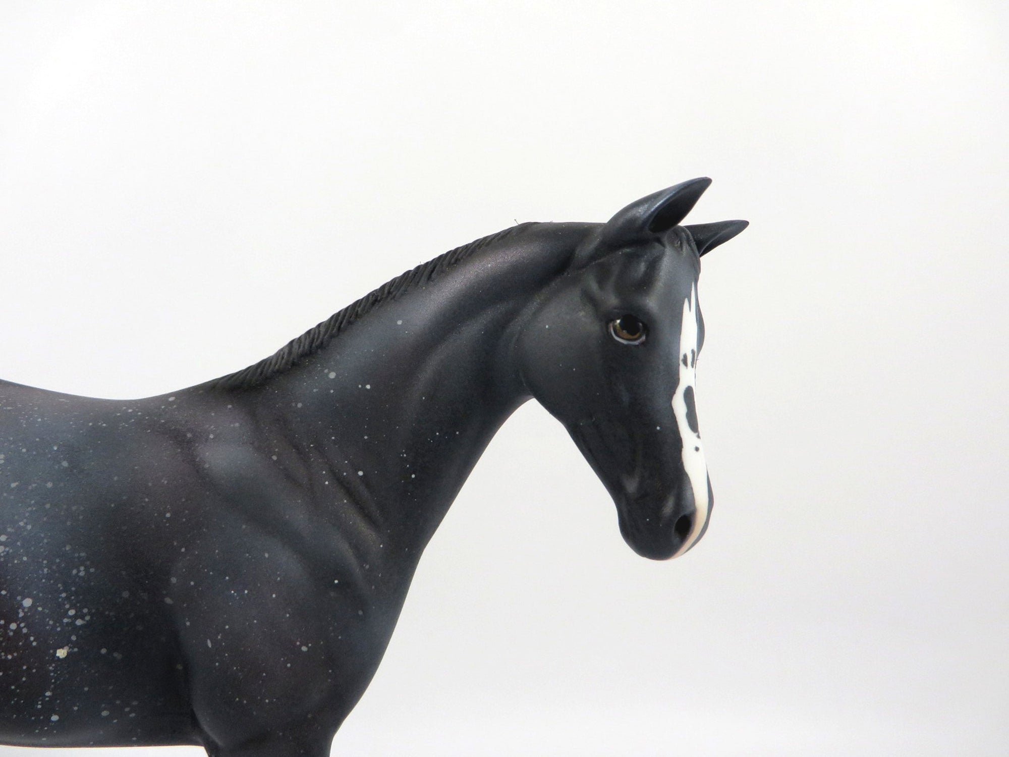 Moon Dust-OOAK Deco Weanling By Ellen Robbins 2/19/21