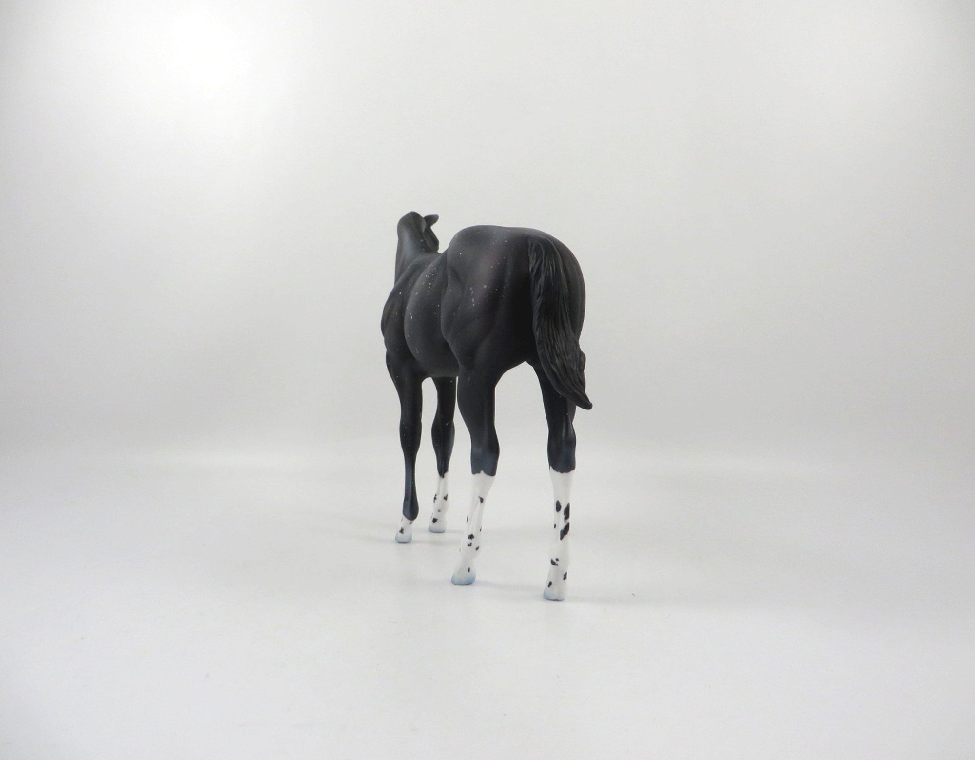 Moon Dust-OOAK Deco Weanling By Ellen Robbins 2/19/21