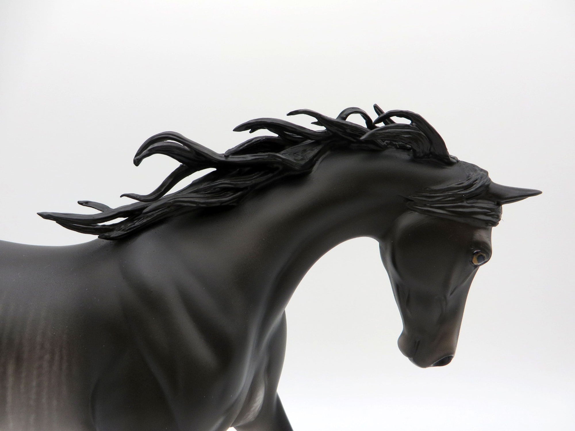 Moonlight on Water-OOAK Black Rabicano Painted by Sheryl Leisure  EQ 21