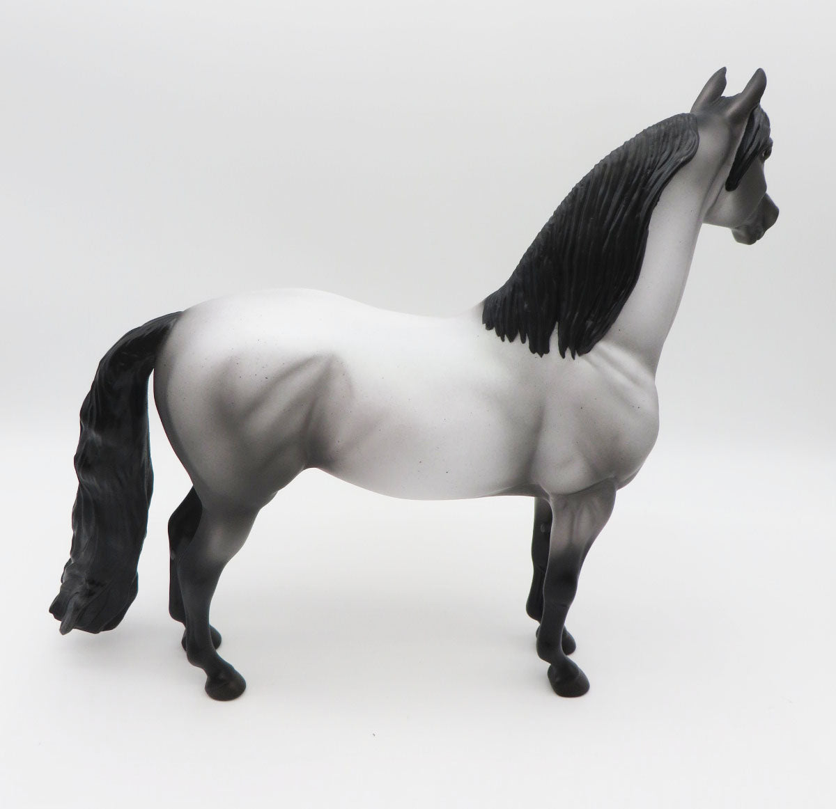 Moonlight Magick - OOAK - Blue Roan Morgan - Painted By Ellen Robbins - MM22