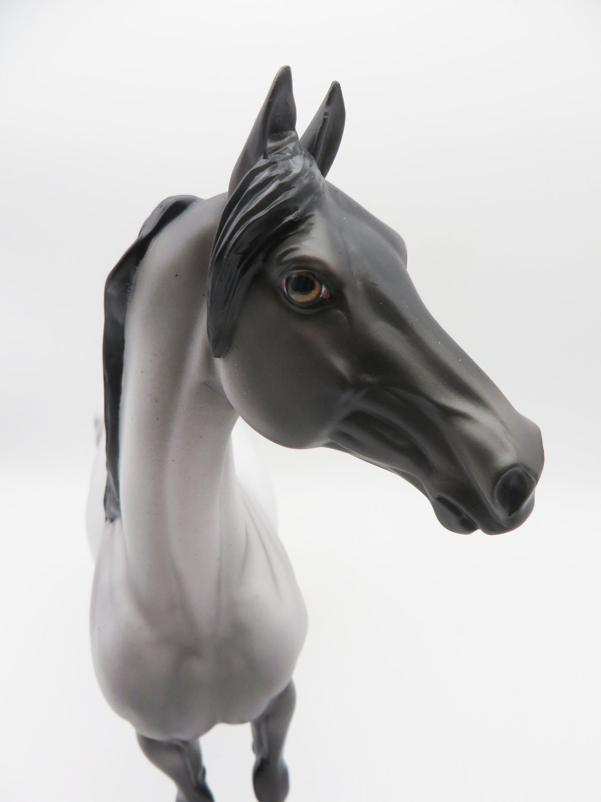 Moonlight Magick - OOAK - Blue Roan Morgan - Painted By Ellen Robbins - MM22