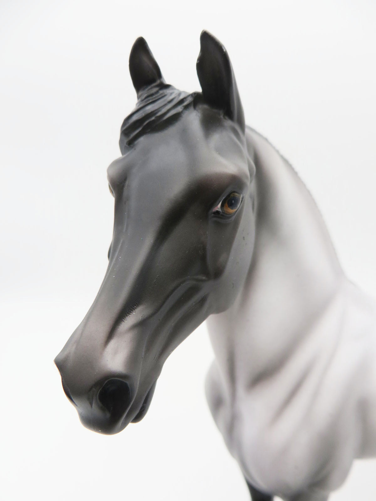 Moonlight Magick - OOAK - Blue Roan Morgan - Painted By Ellen Robbins - MM22