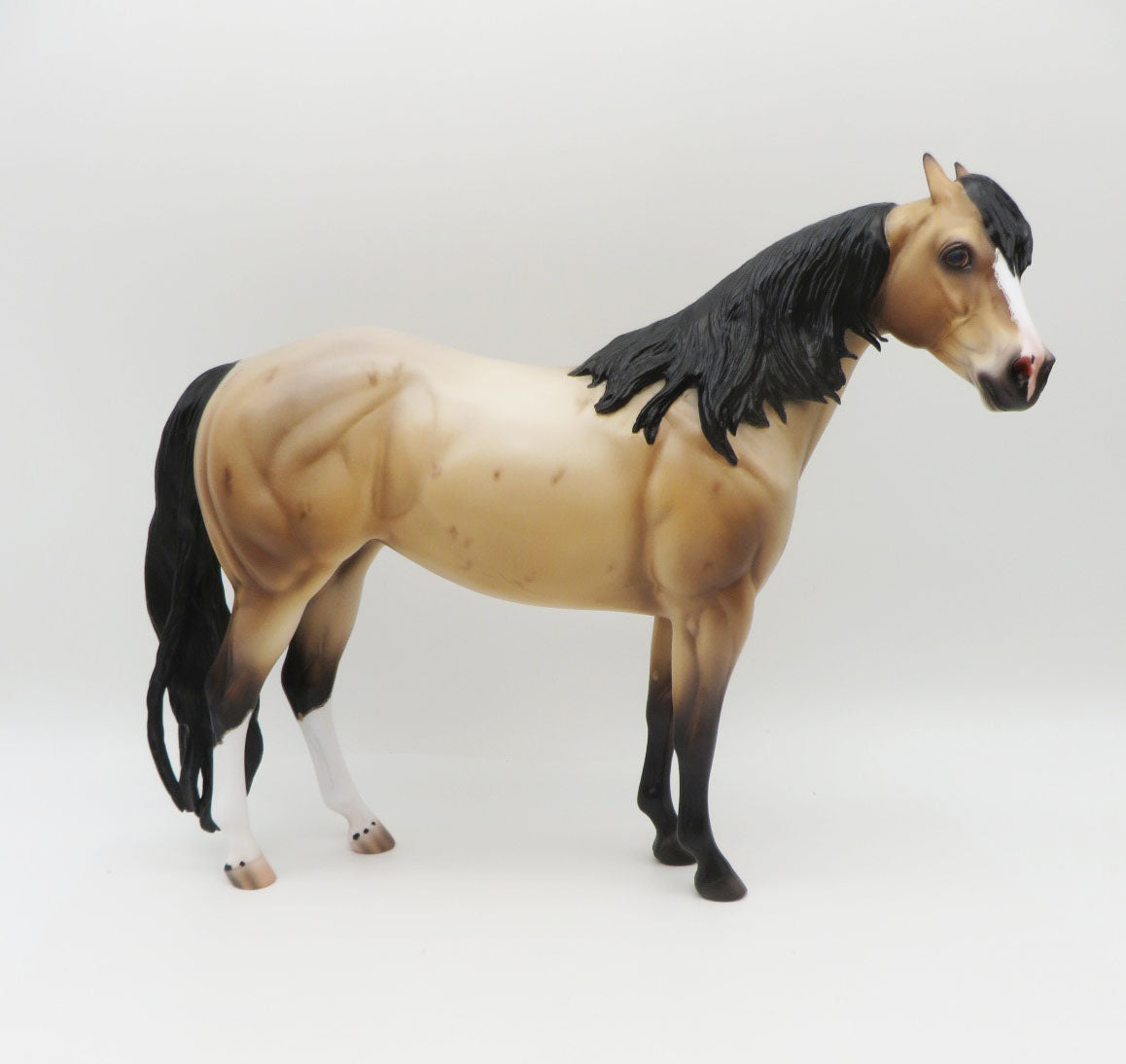 Morello - OOAK - Bay Roan Ideal Stock Horse By Caroline Boydston BEST OFFER 11/21/22