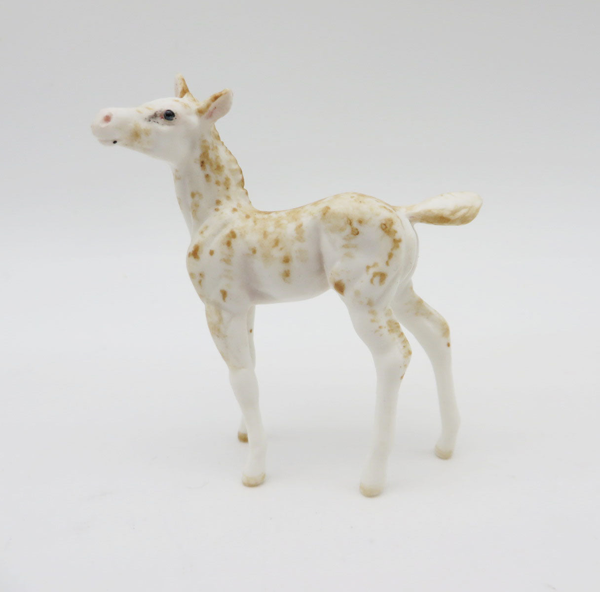 Morning Light - OOAK - Sabino Palomino Chip Foal By Andrea Thomason - Christmas Tails 2022 - CT22