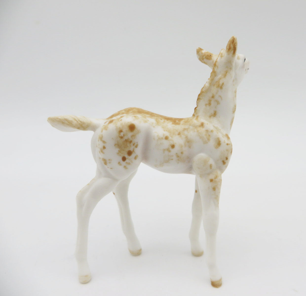 Morning Light - OOAK - Sabino Palomino Chip Foal By Andrea Thomason - Christmas Tails 2022 - CT22