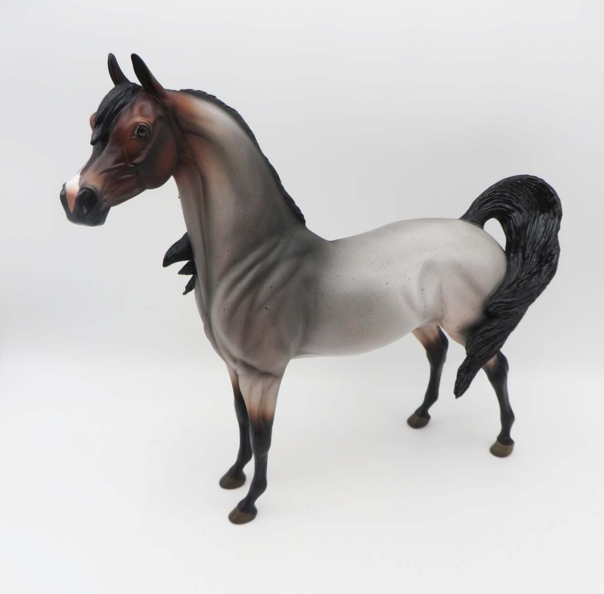 Morrissey - OOAK - Bay Roan Arabian By Angela Marleau - SHCF23