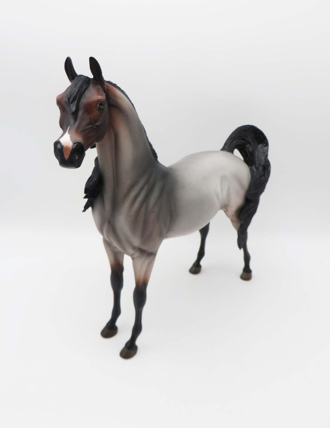 Morrissey - OOAK - Bay Roan Arabian By Angela Marleau - SHCF23