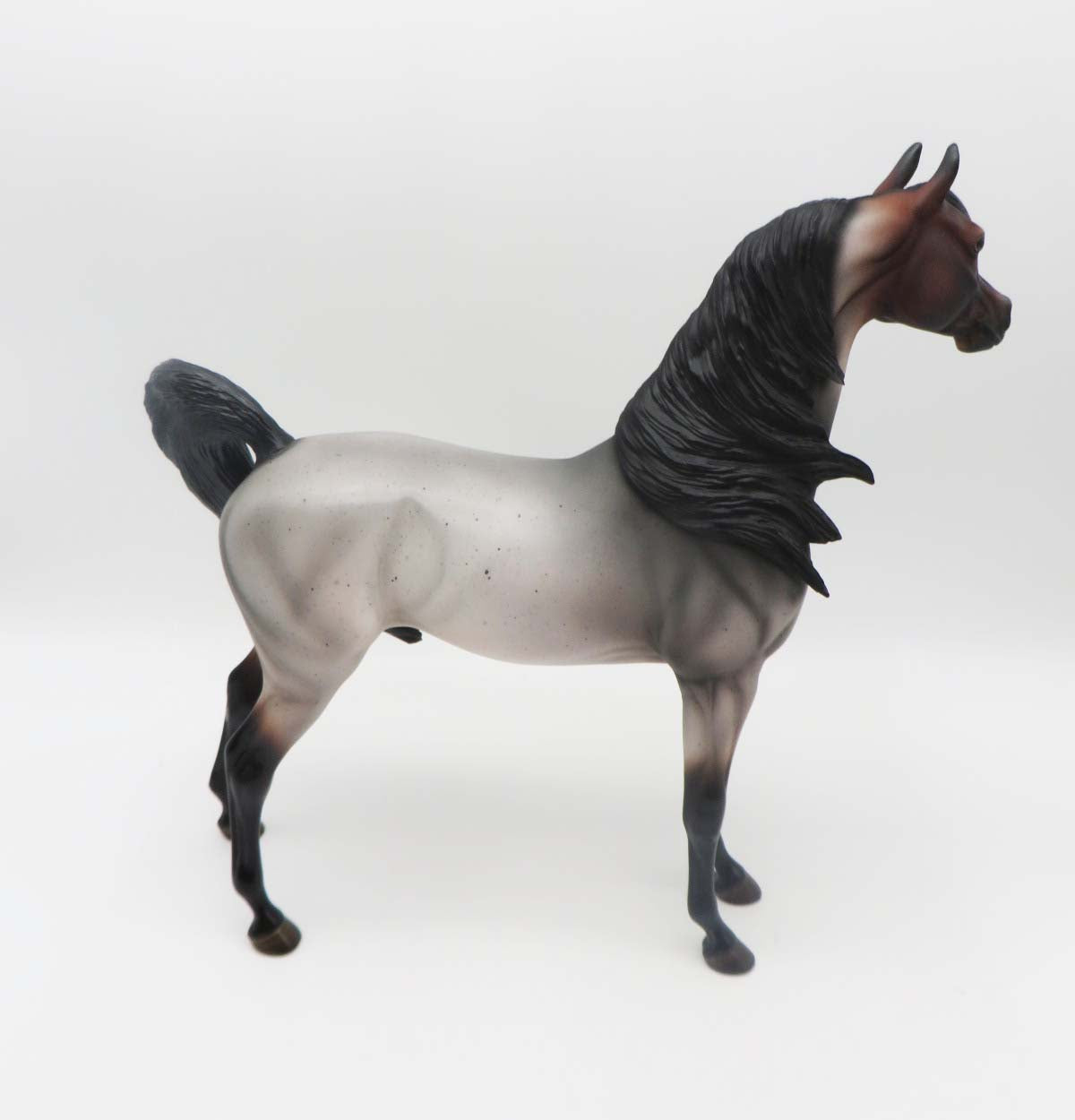 Morrissey - OOAK - Bay Roan Arabian By Angela Marleau - SHCF23