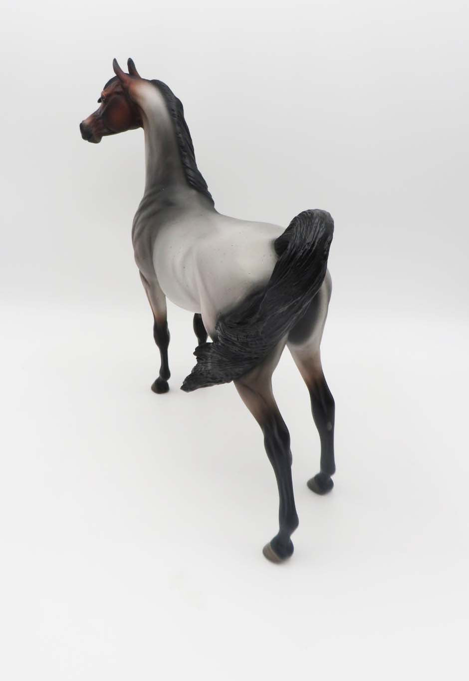 Morrissey - OOAK - Bay Roan Arabian By Angela Marleau - SHCF23
