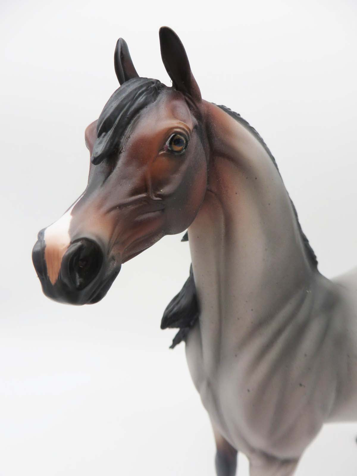 Morrissey - OOAK - Bay Roan Arabian By Angela Marleau - SHCF23