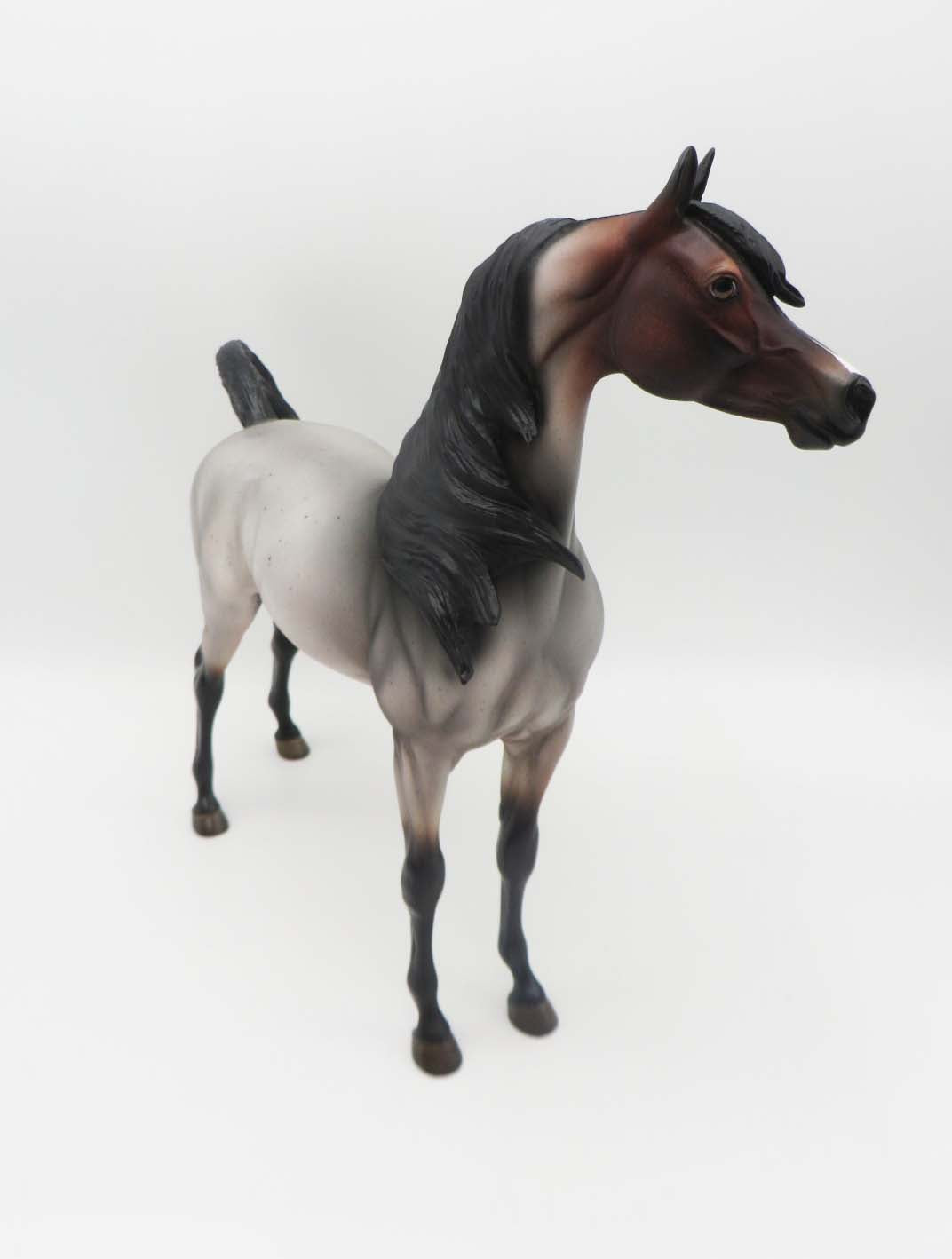 Morrissey - OOAK - Bay Roan Arabian By Angela Marleau - SHCF23