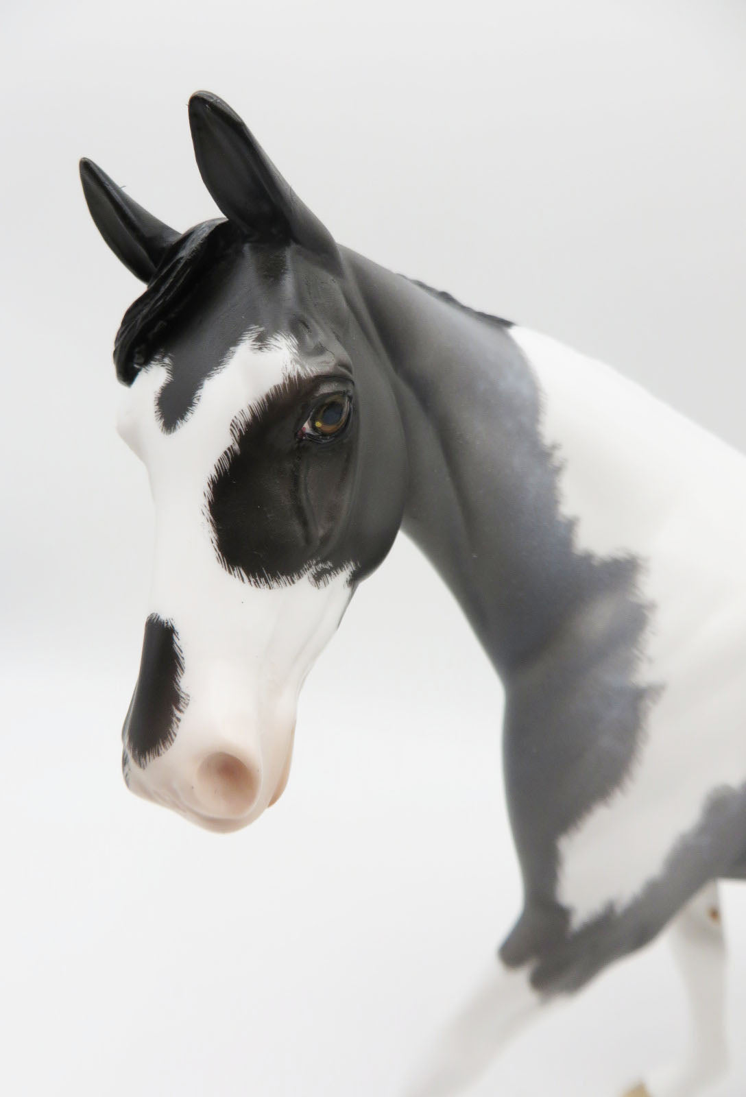 Mountain Peaks - OOAK - Reverse Dappled Blue Roan Tobiano By Ellen Robbins - Best Offers 2/6/23