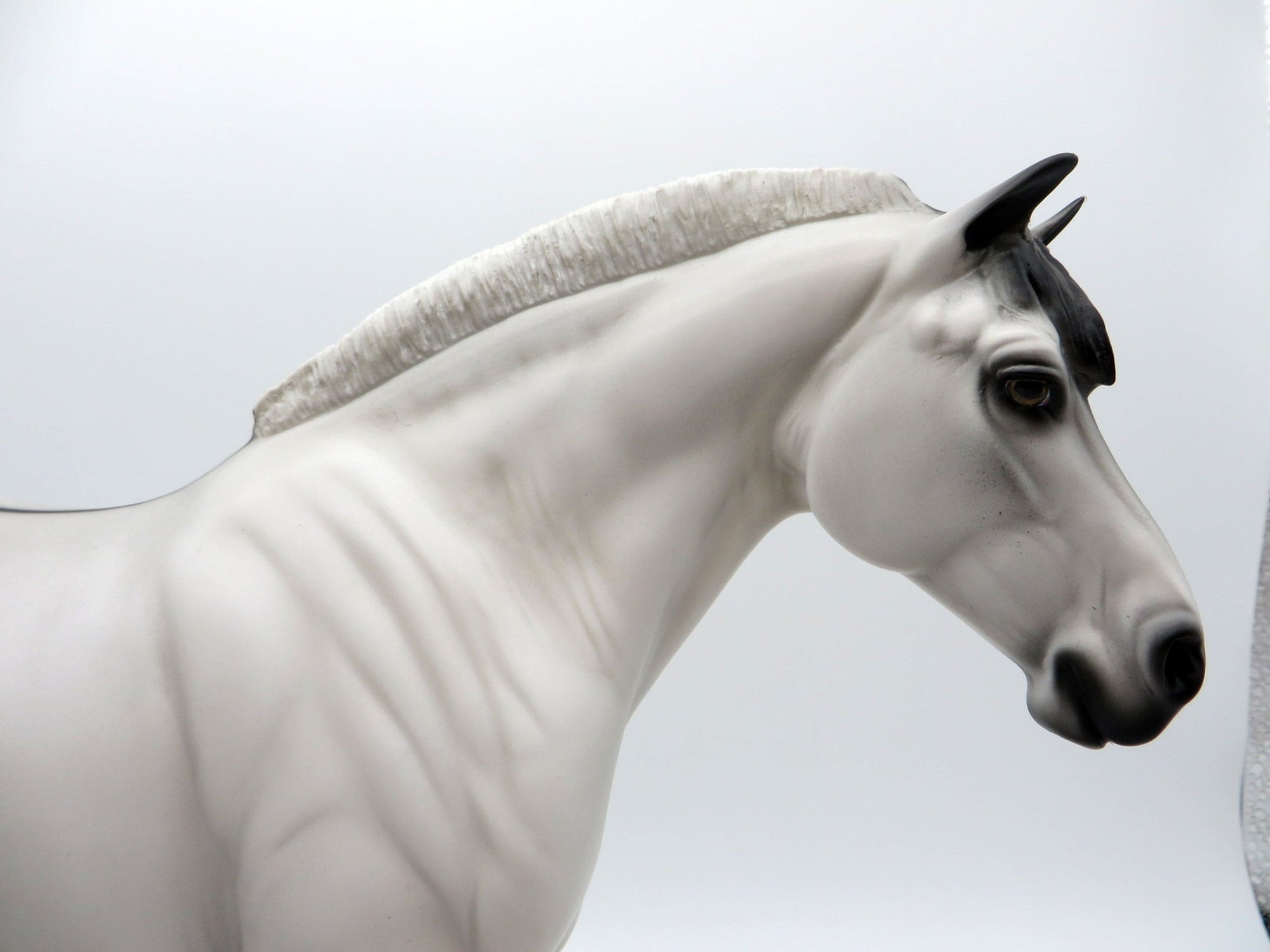 Mouse-LE-20 Fjord Draft Cross Heavy Draft Mare Painted By Audrey Dixon 8/5/21