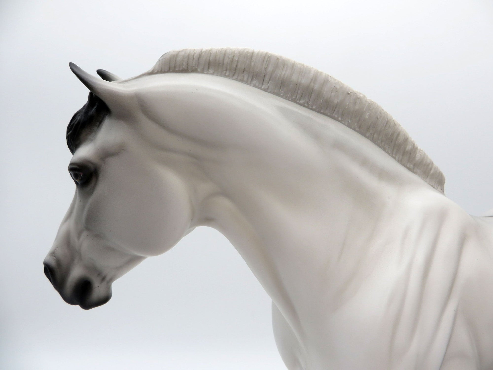 Mouse-LE-20 Fjord Draft Cross Heavy Draft Mare Painted By Audrey Dixon 8/5/21