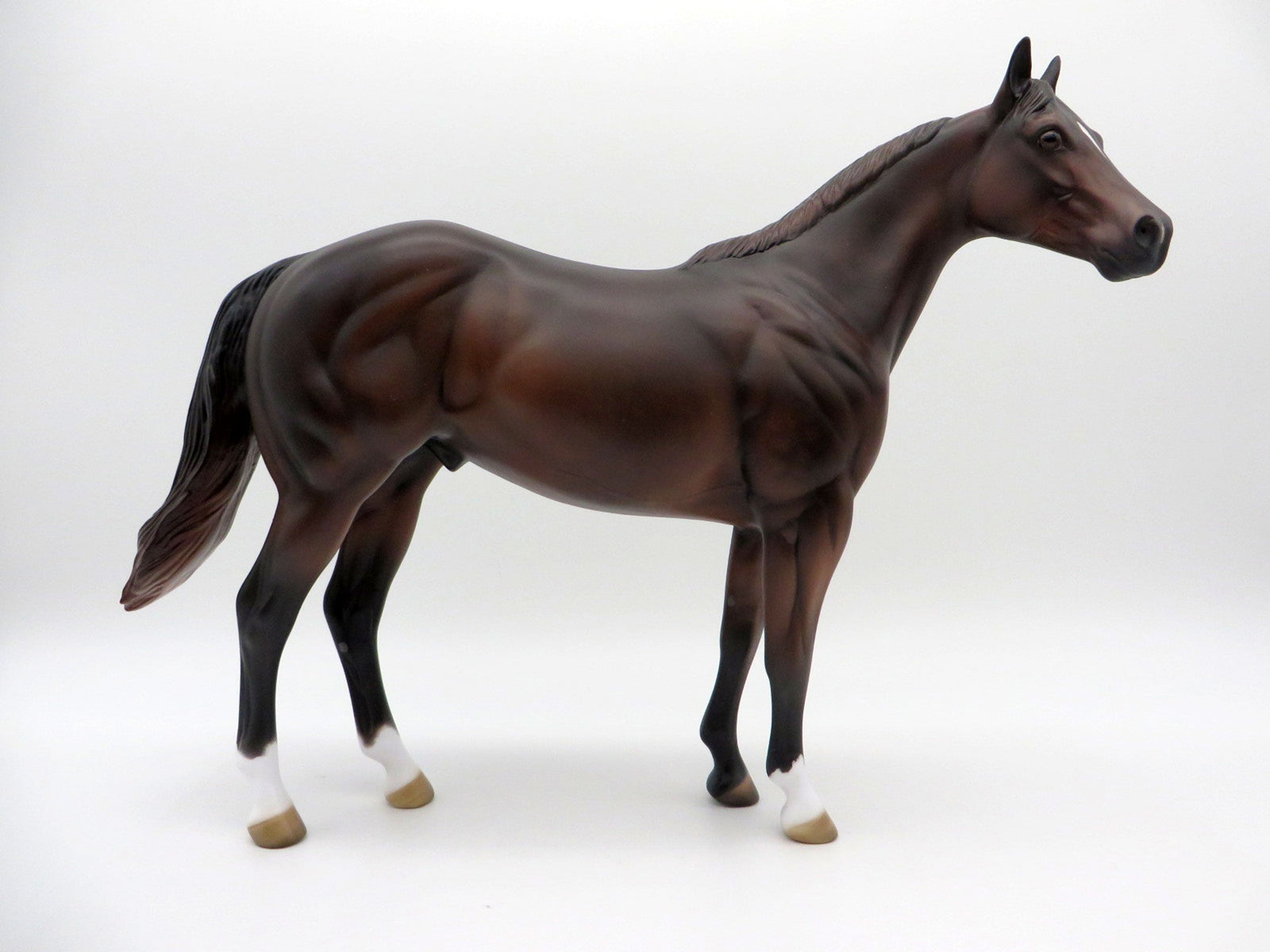 Mousse-OOAK Dark Chestnut ISH Equilocity 2021 Painted by Al