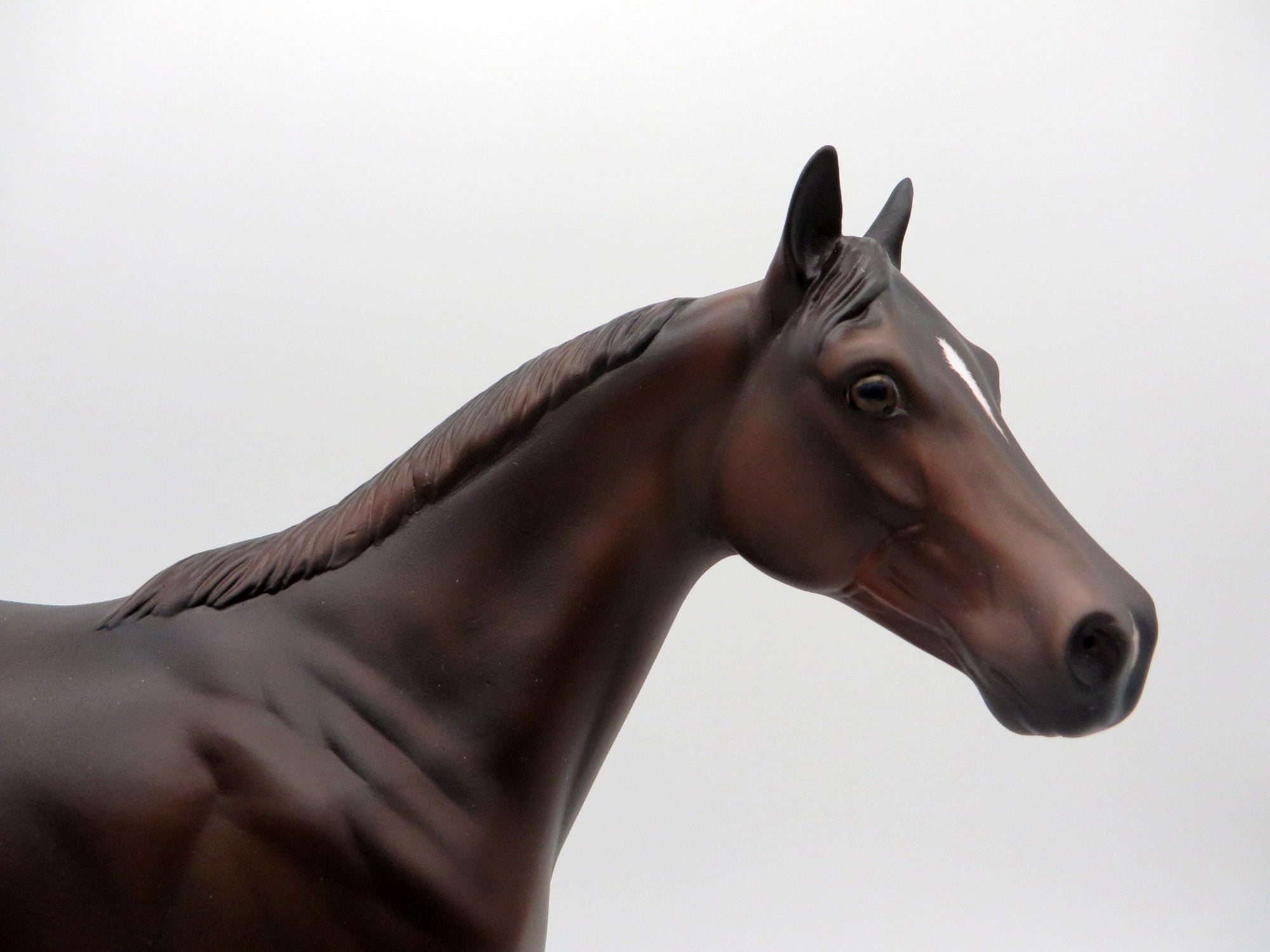 Mousse-OOAK Dark Chestnut ISH Equilocity 2021 Painted by Al