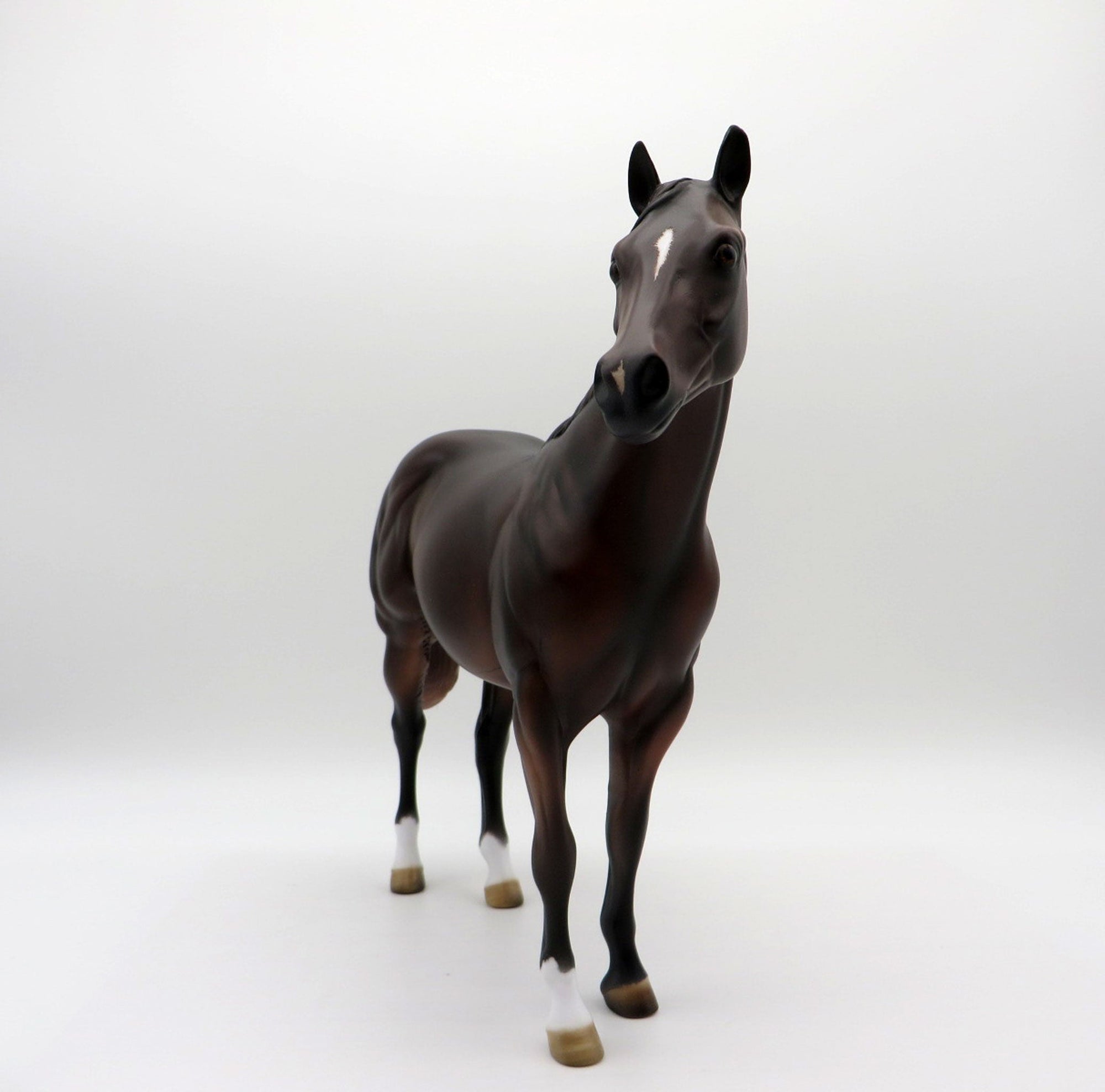 Mousse-OOAK Dark Chestnut ISH Equilocity 2021 Painted by Al
