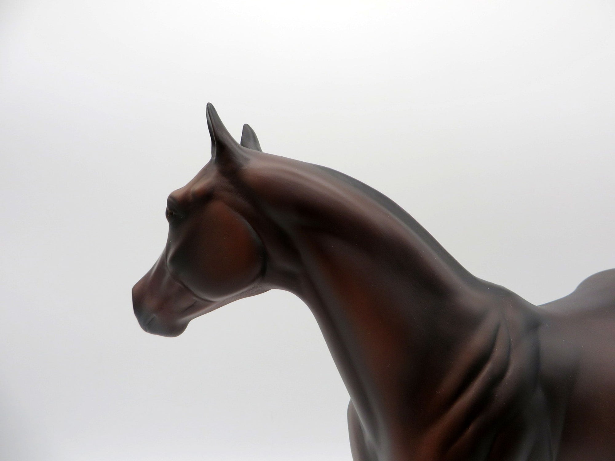 Mousse-OOAK Dark Chestnut ISH Equilocity 2021 Painted by Al