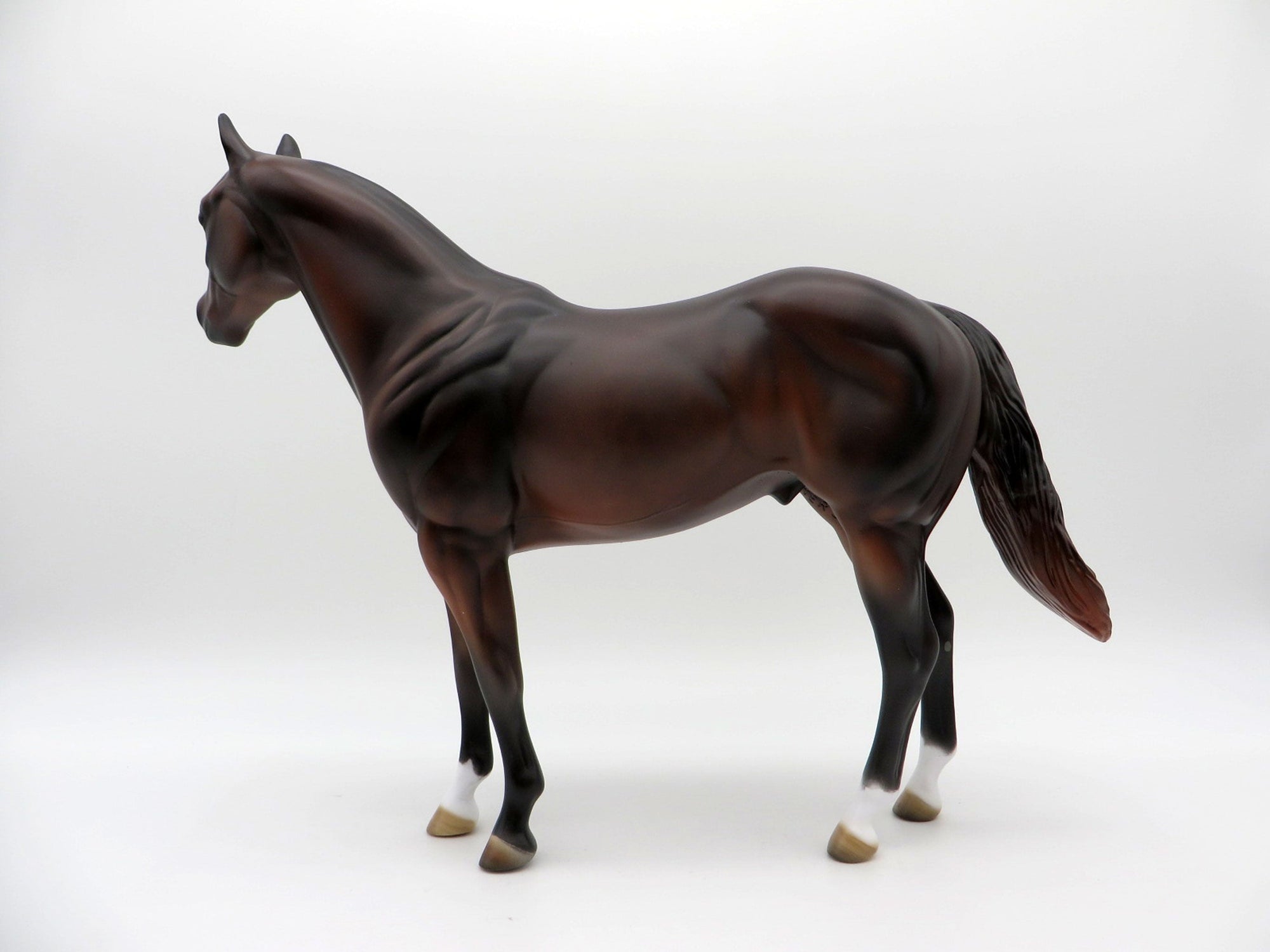 Mousse-OOAK Dark Chestnut ISH Equilocity 2021 Painted by Al