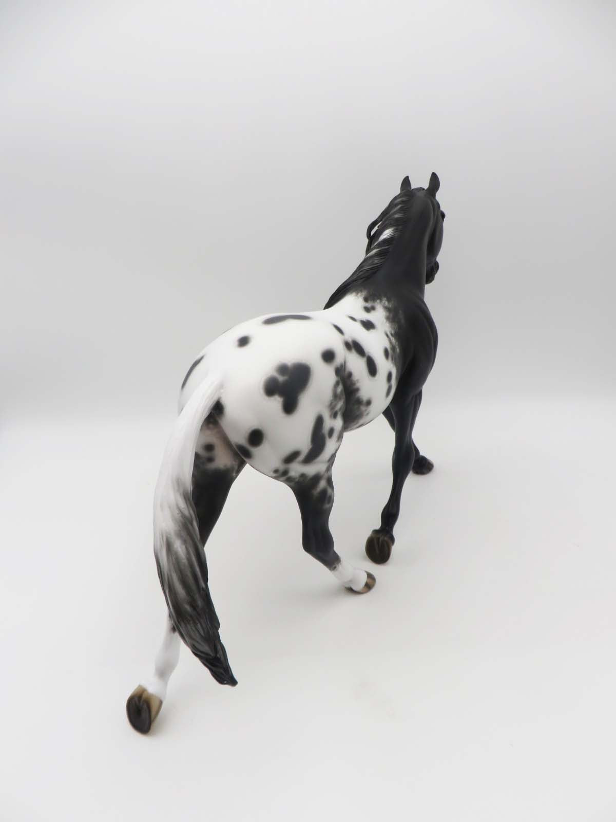 Ms Pacman - OOAK - Black Appaloosa Palouse by Sheryl Leisure - Best Offer 5/30/23