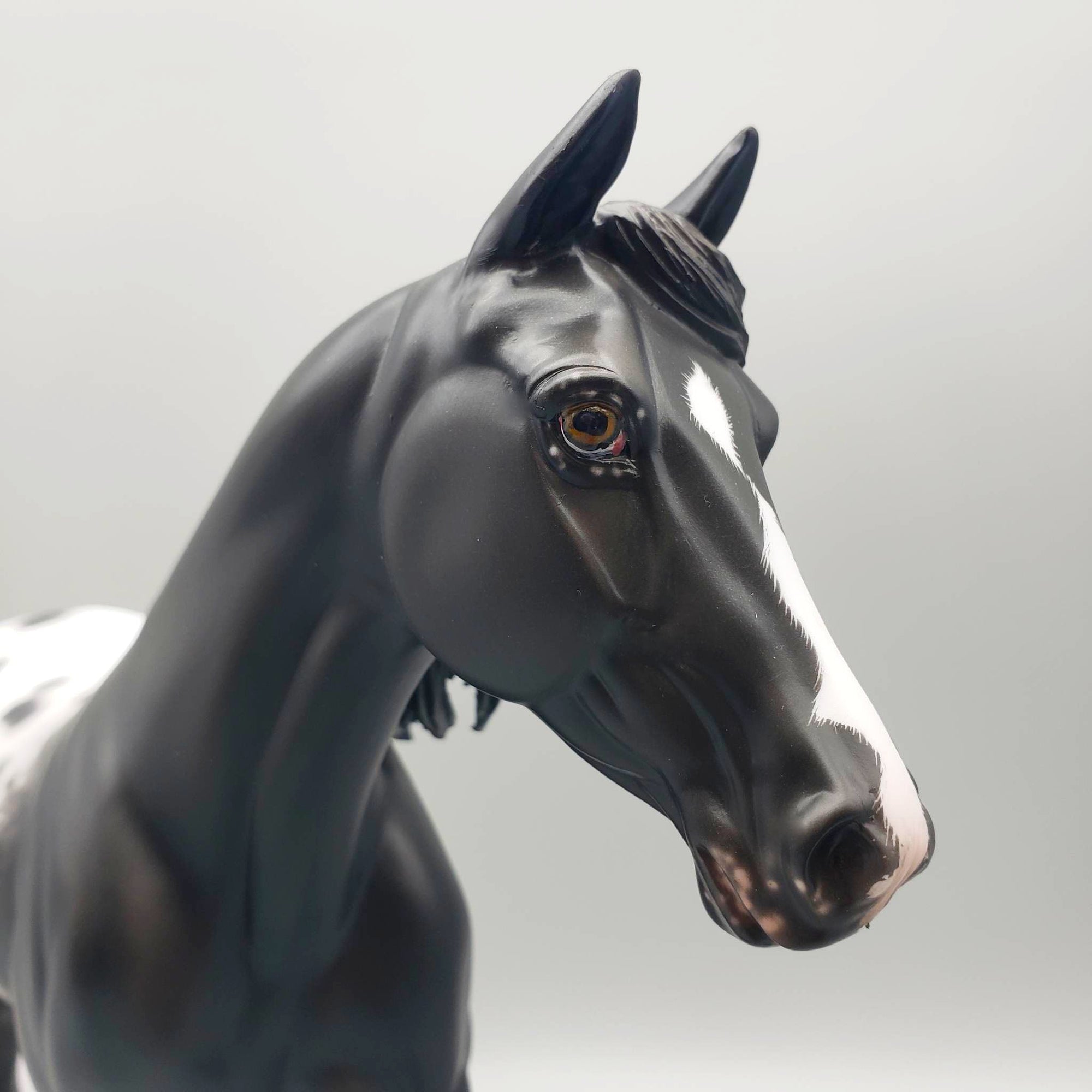 Ms Pacman - OOAK - Black Appaloosa Palouse by Sheryl Leisure - Best Offer 5/30/23