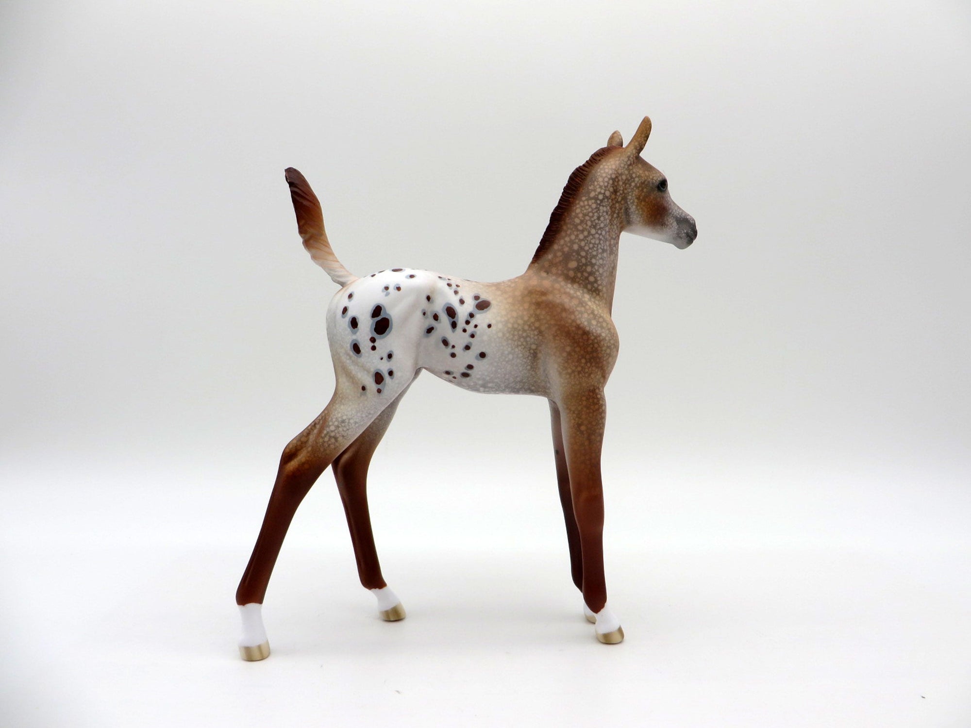 Mucha-LE-15 Chestnut Appaloosa Arabian Foal EQ 2021