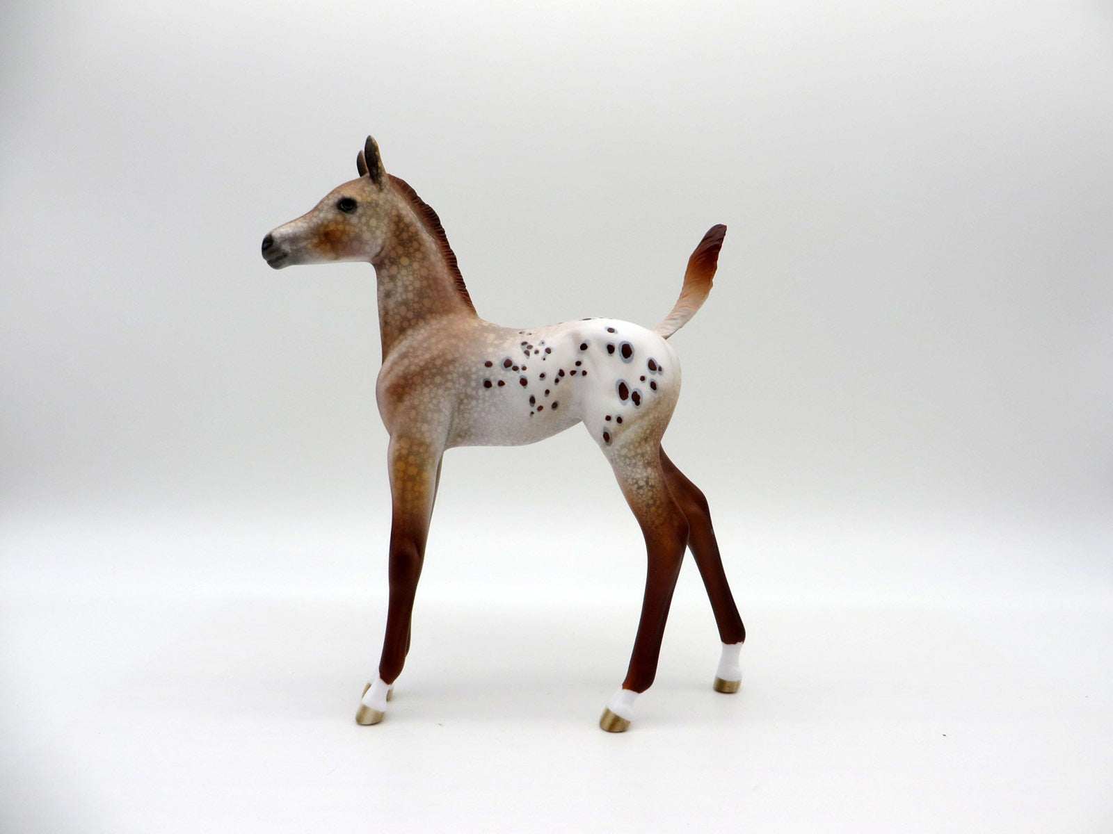 Mucha-LE-15 Chestnut Appaloosa Arabian Foal EQ 2021