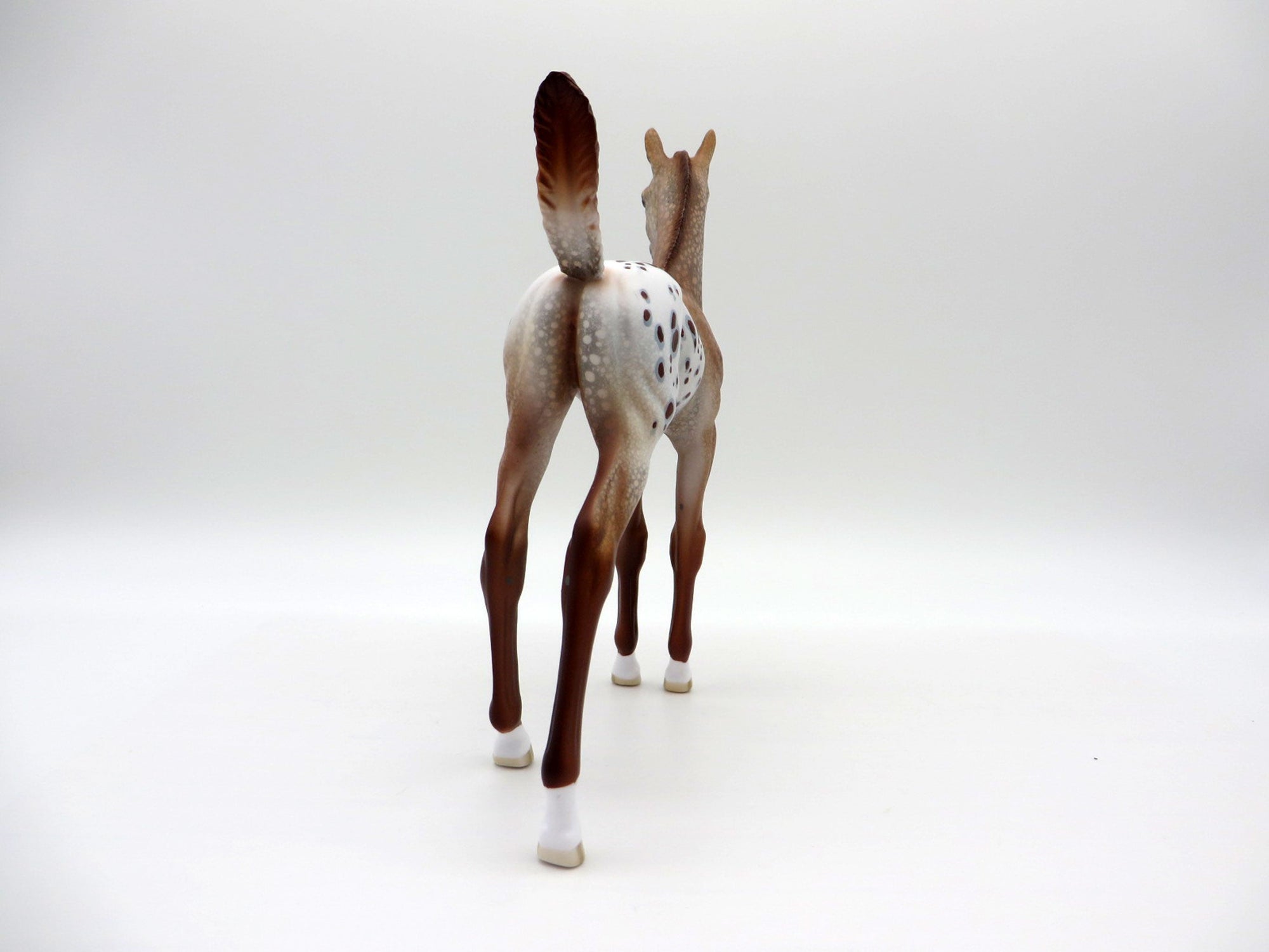 Mucha-LE-15 Chestnut Appaloosa Arabian Foal EQ 2021