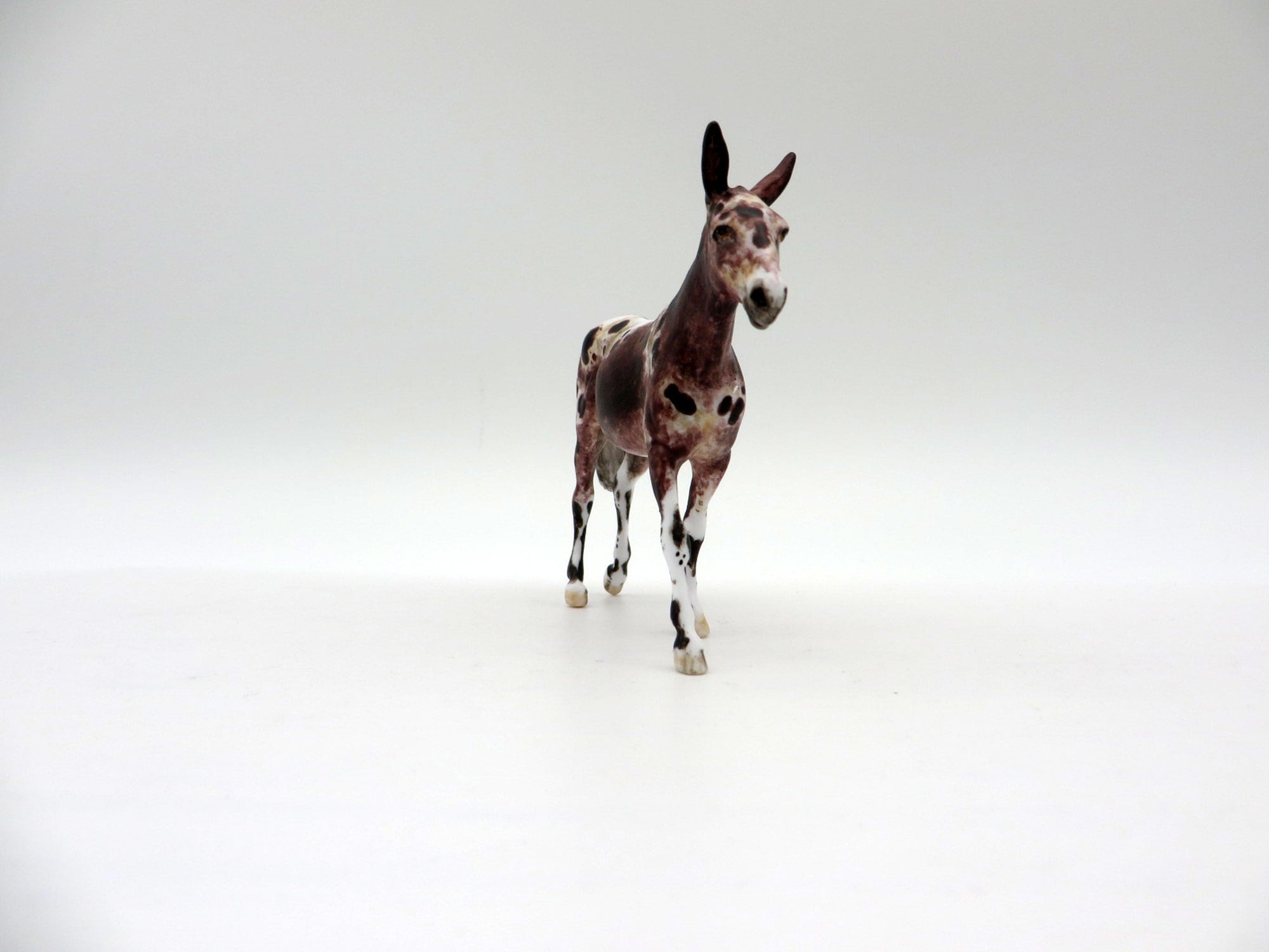 Mud Puddle-OOAK Loud Appaloosa Mule Chip SHCF 2021