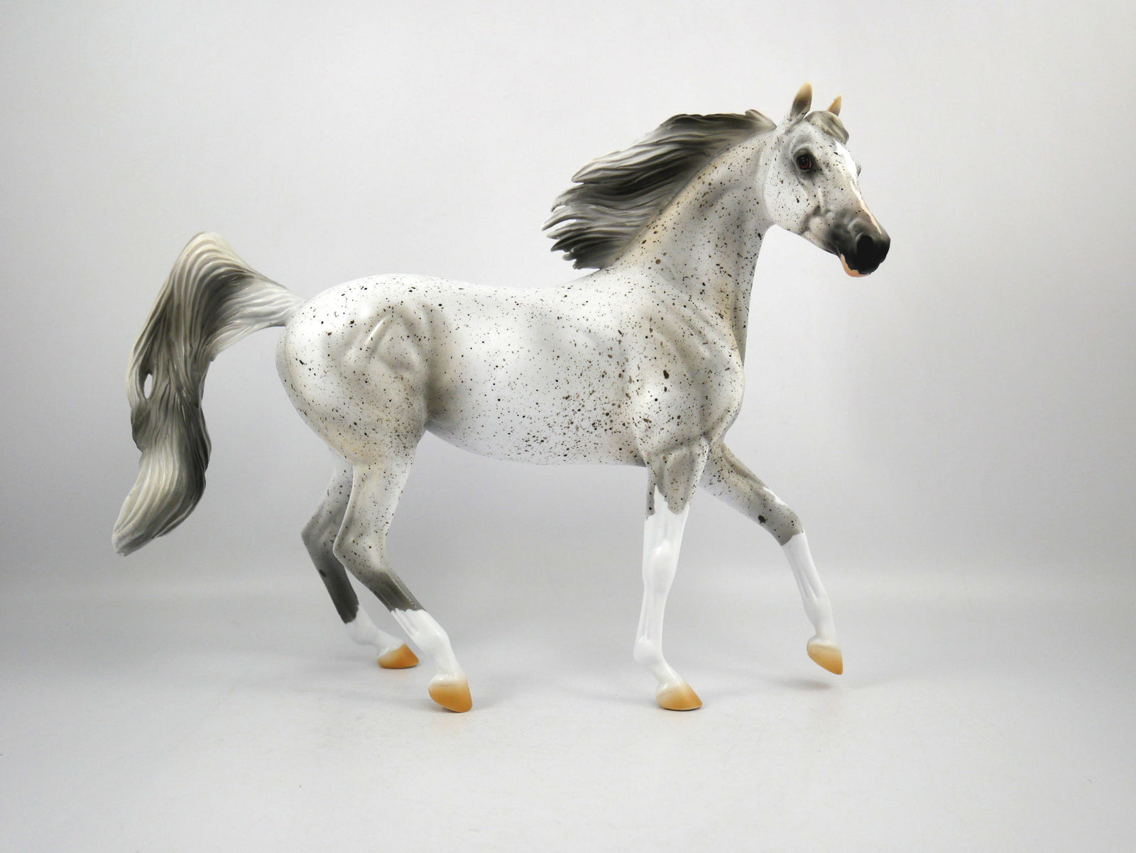 Muffin-OOAK Fleabit Arabian Mare  Model Horse 1/20/21