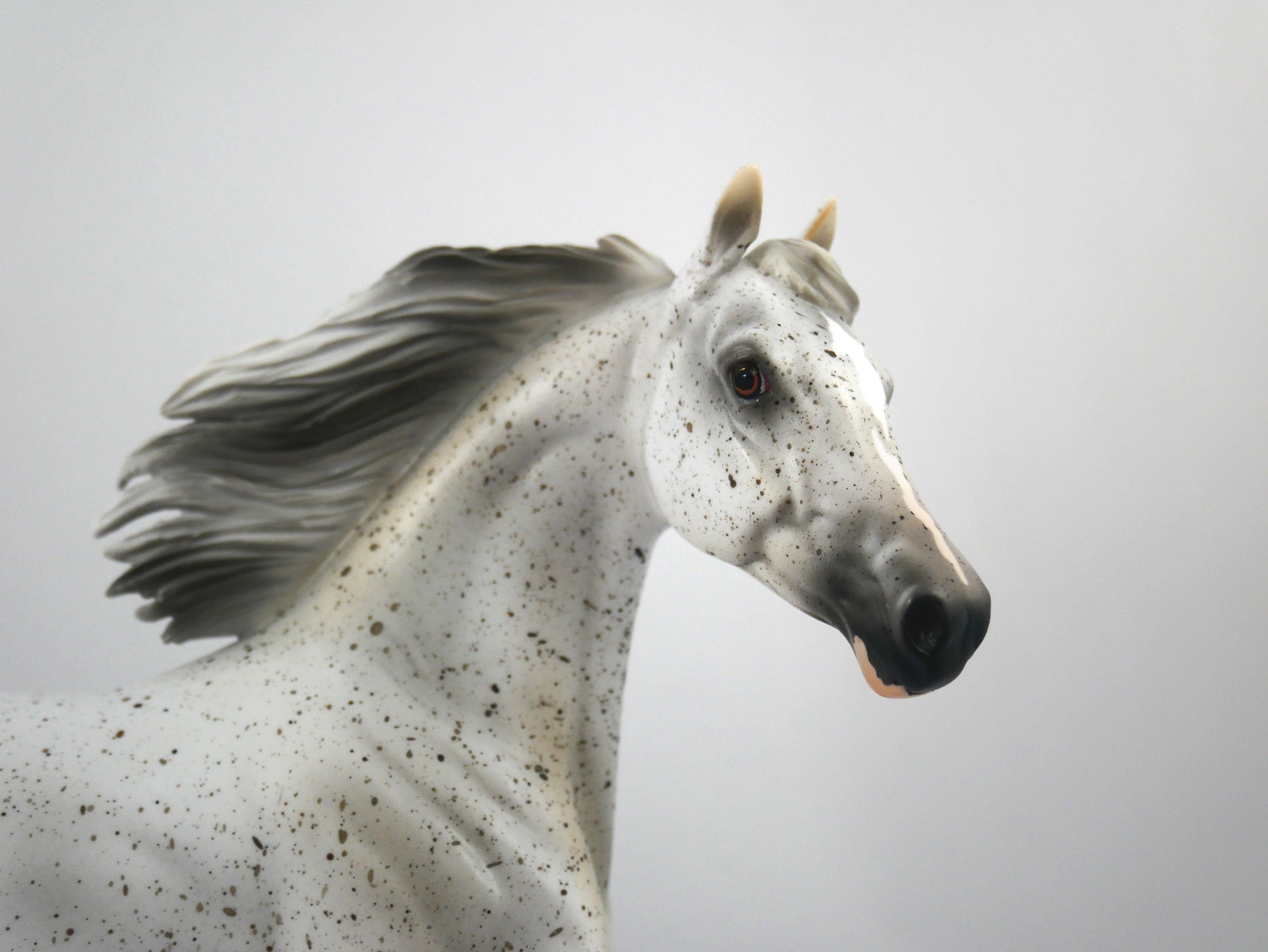 Muffin-OOAK Fleabit Arabian Mare  Model Horse 1/20/21