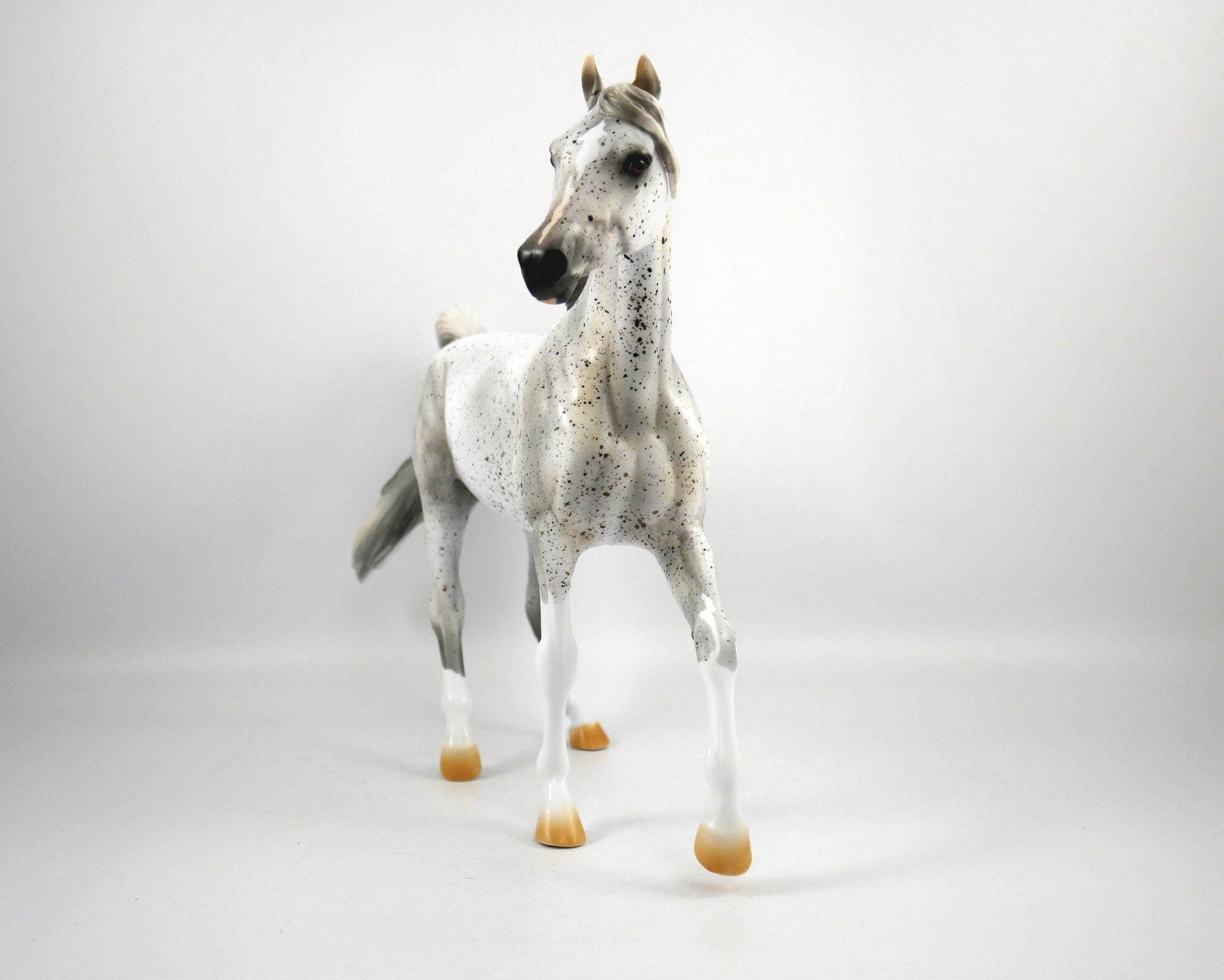 Muffin-OOAK Fleabit Arabian Mare  Model Horse 1/20/21