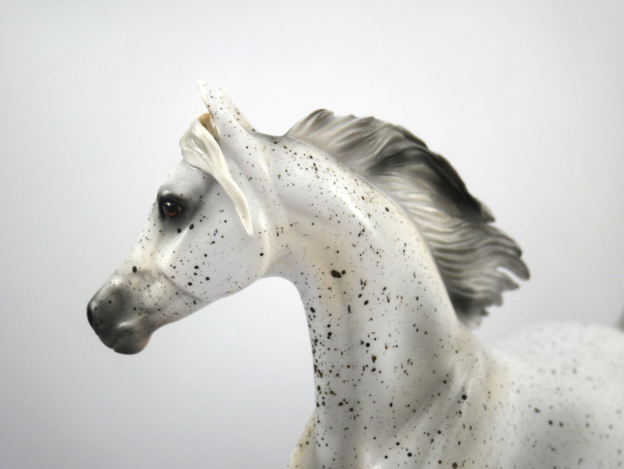 Muffin-OOAK Fleabit Arabian Mare  Model Horse 1/20/21