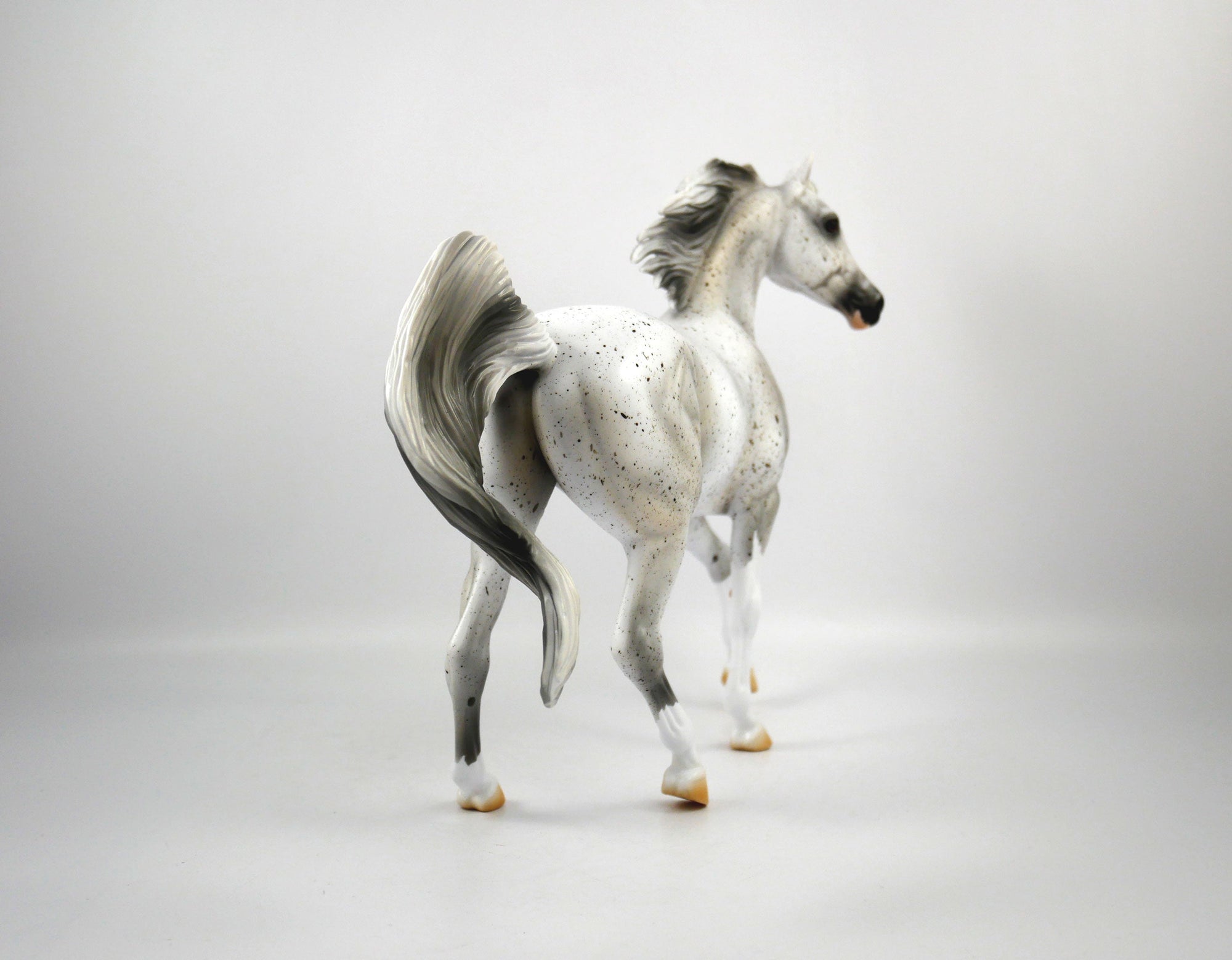 Muffin-OOAK Fleabit Arabian Mare  Model Horse 1/20/21