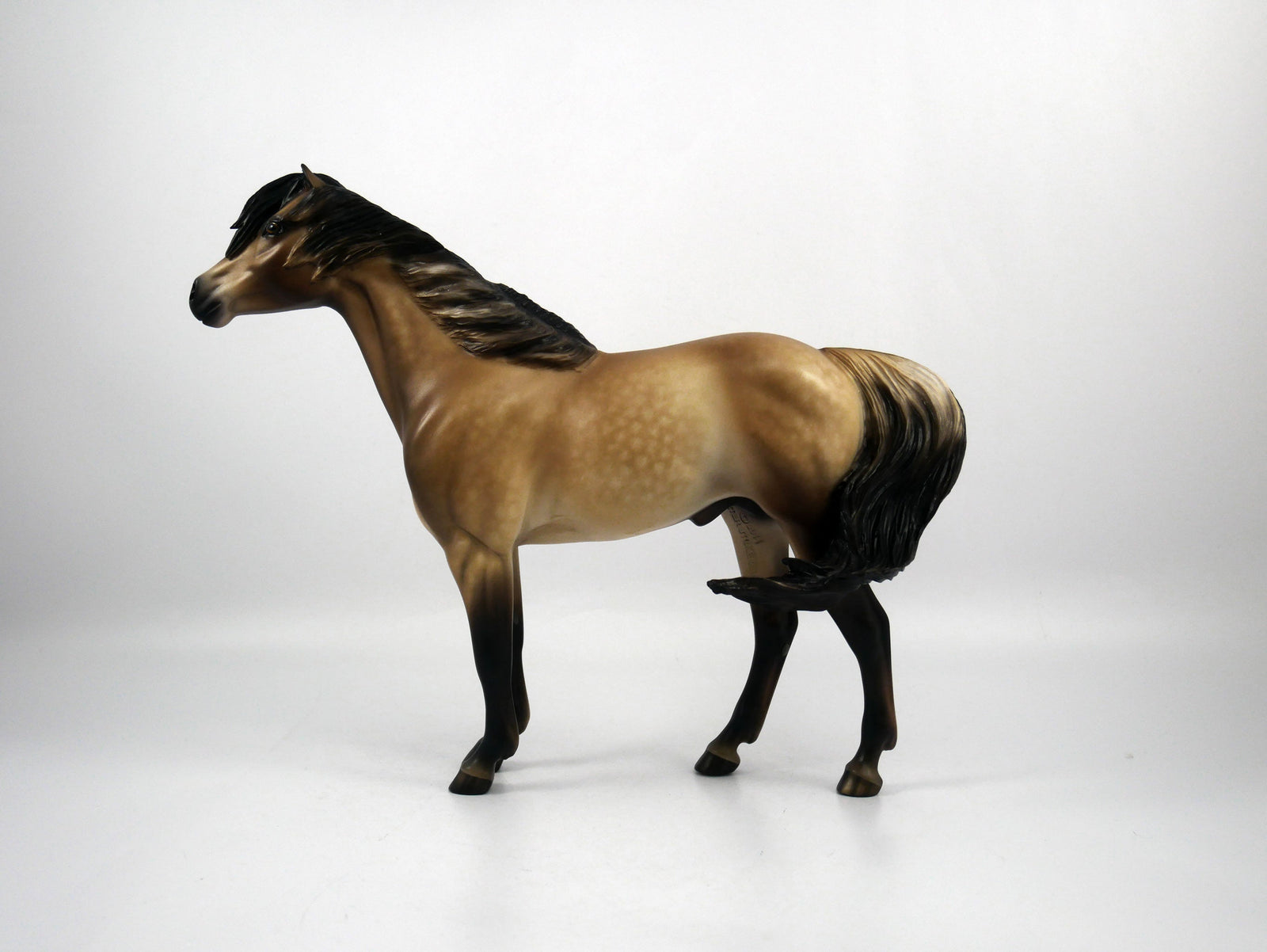 Murray-OOAK Dapple Buckskin Mustang By Sheryl Leisure 2/8/21