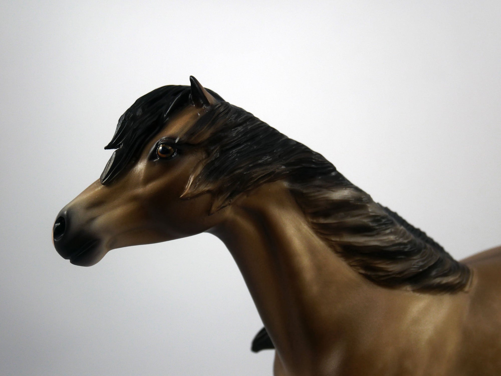 Murray-OOAK Dapple Buckskin Mustang By Sheryl Leisure 2/8/21