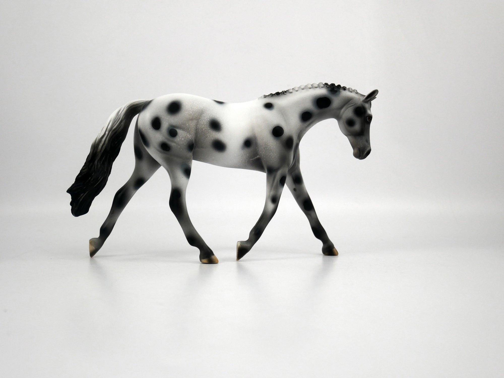 Muse-OOAK Appaloosa Pebbles Warmblood 1/8/21