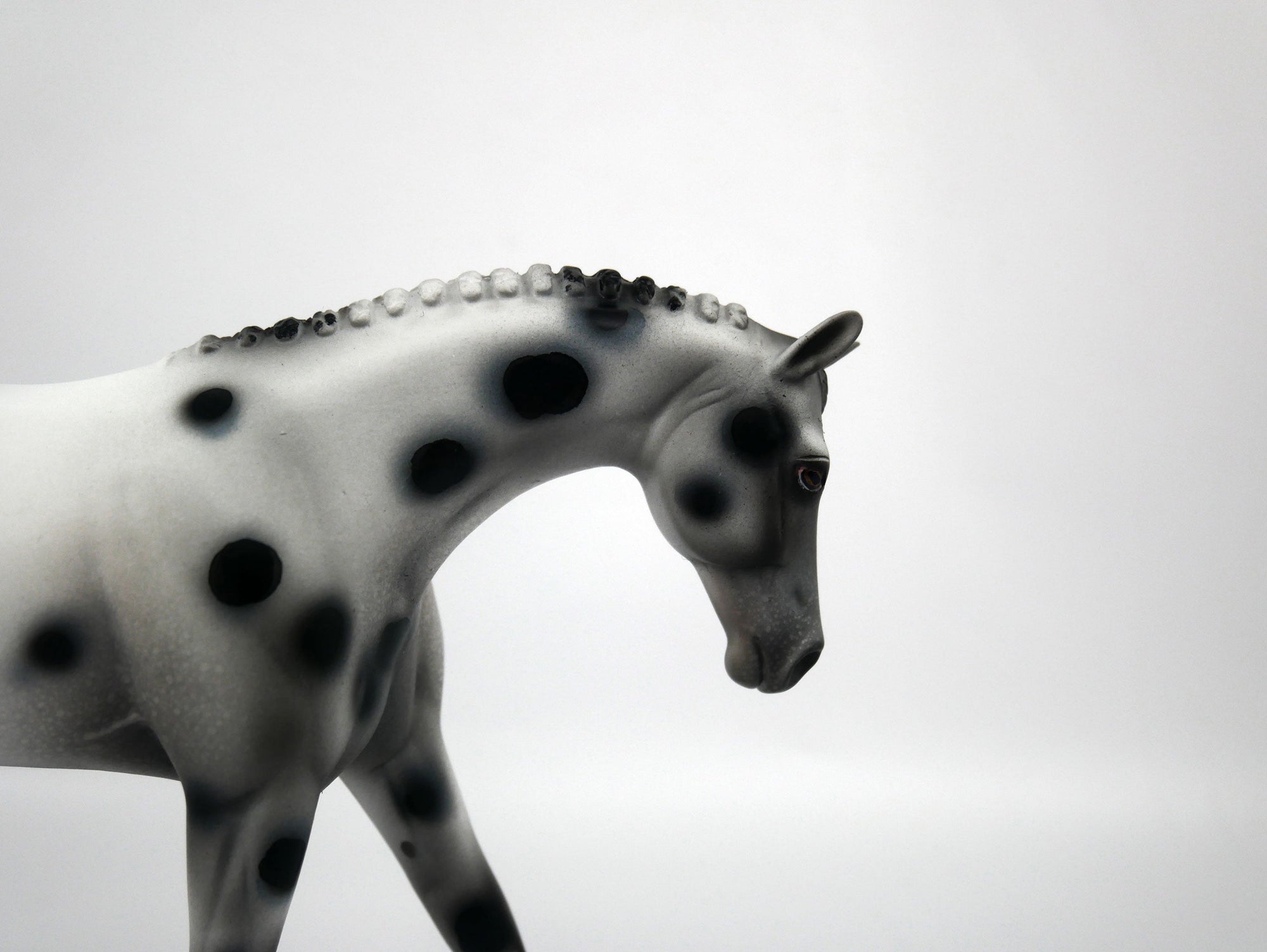 Muse-OOAK Appaloosa Pebbles Warmblood 1/8/21