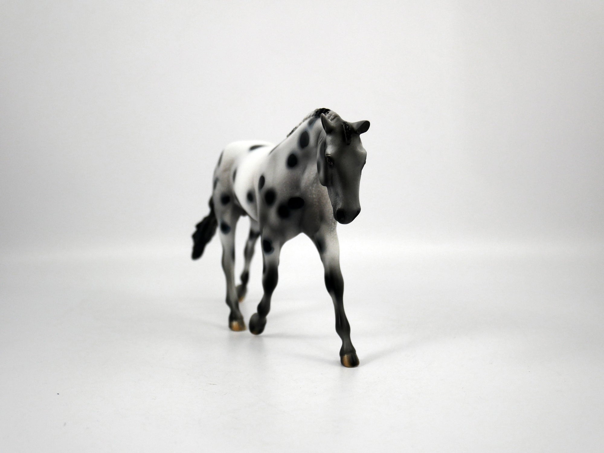 Muse-OOAK Appaloosa Pebbles Warmblood 1/8/21