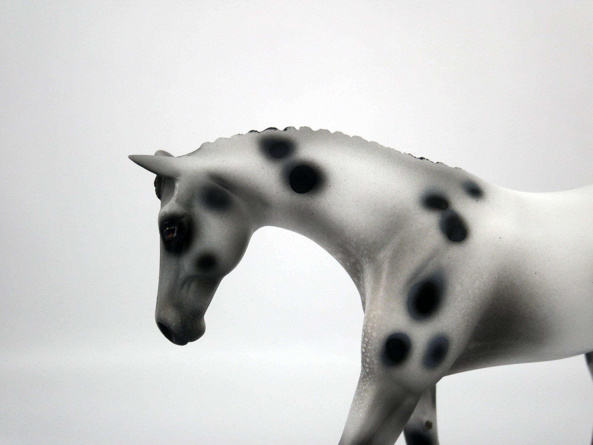 Muse-OOAK Appaloosa Pebbles Warmblood 1/8/21