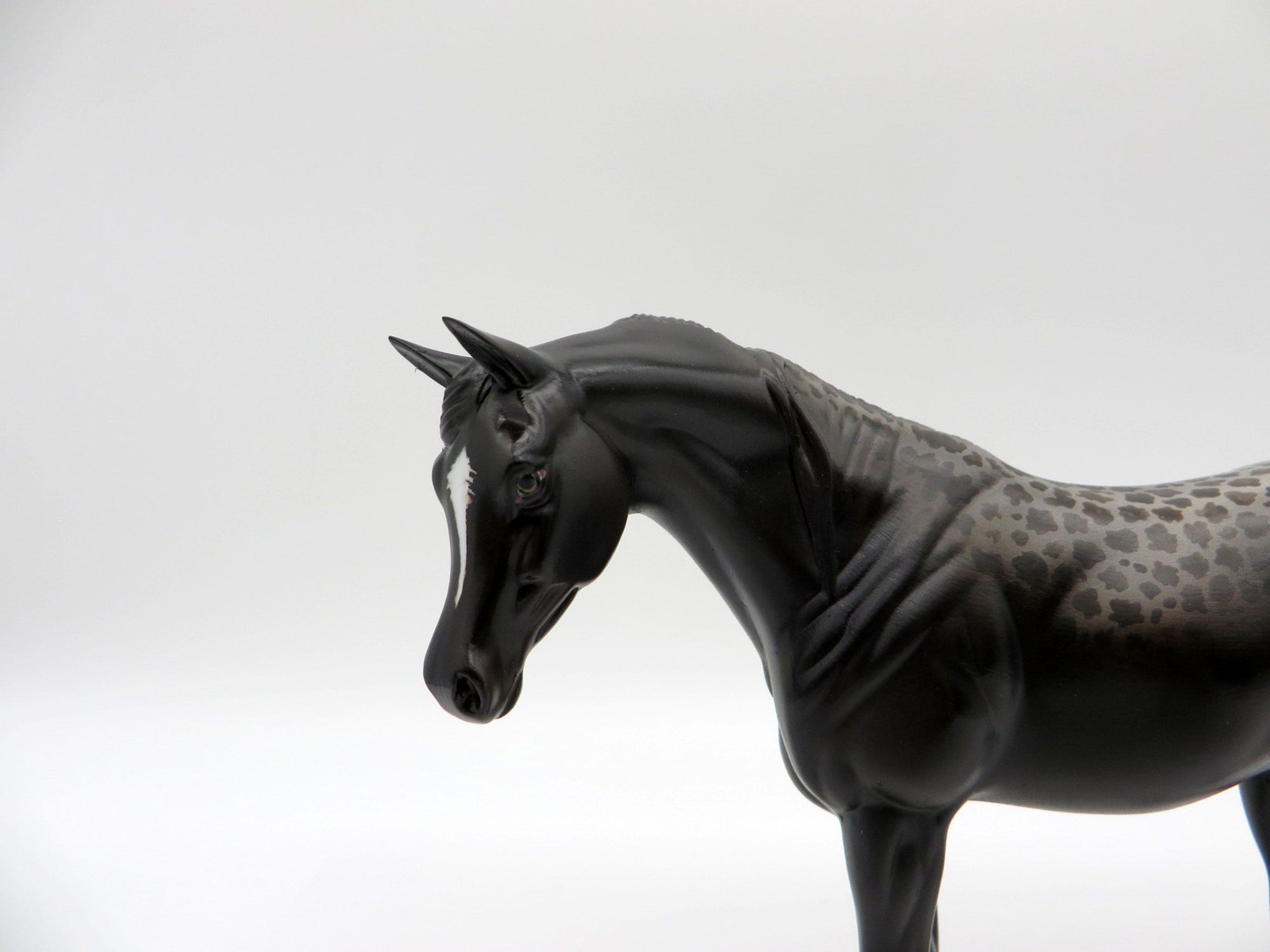 Muse-OOAK Reverse Dapple Black Arabian Pebbles Painted By Jas Fanning EQ 21