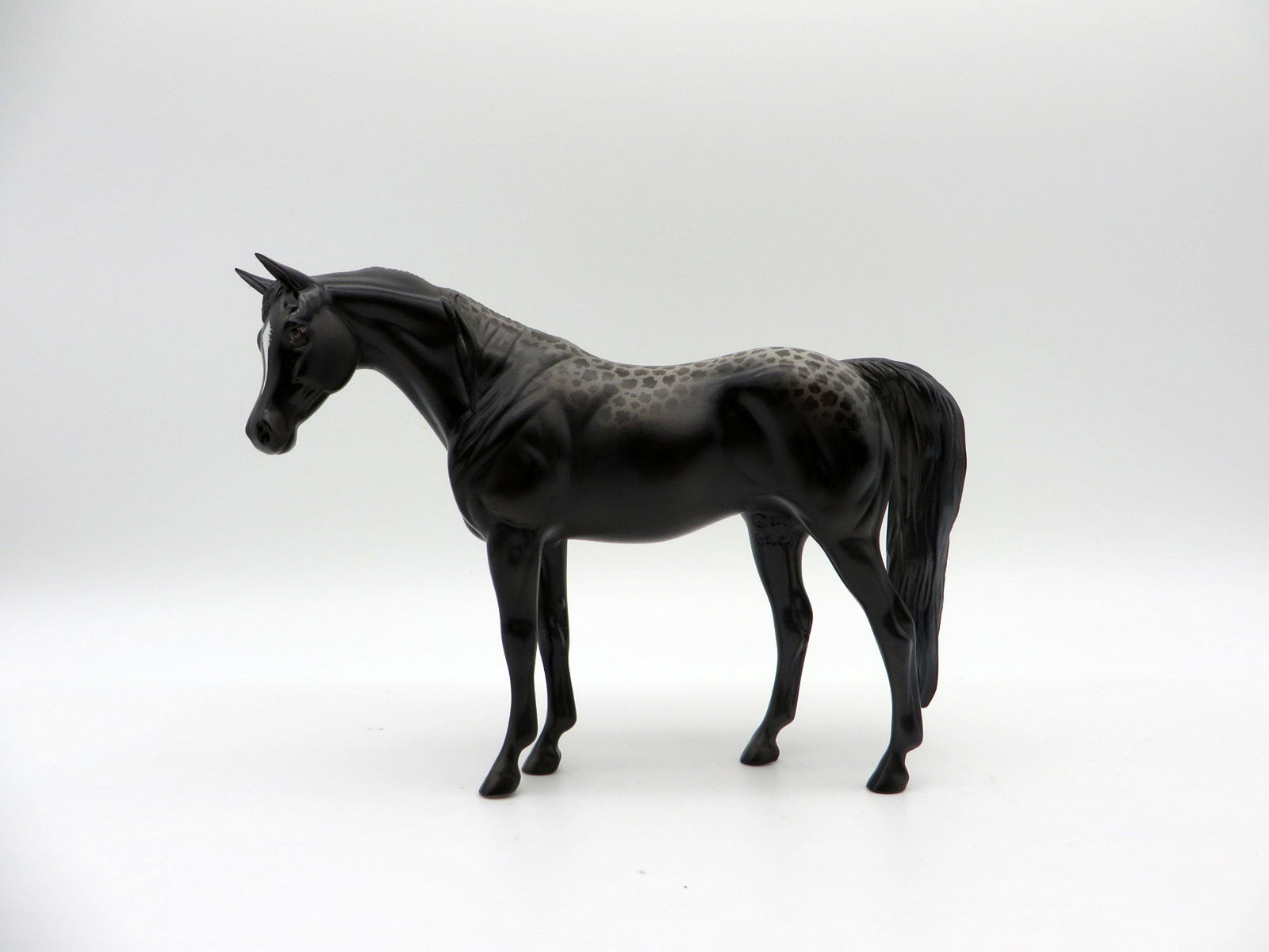 Muse-OOAK Reverse Dapple Black Arabian Pebbles Painted By Jas Fanning EQ 21