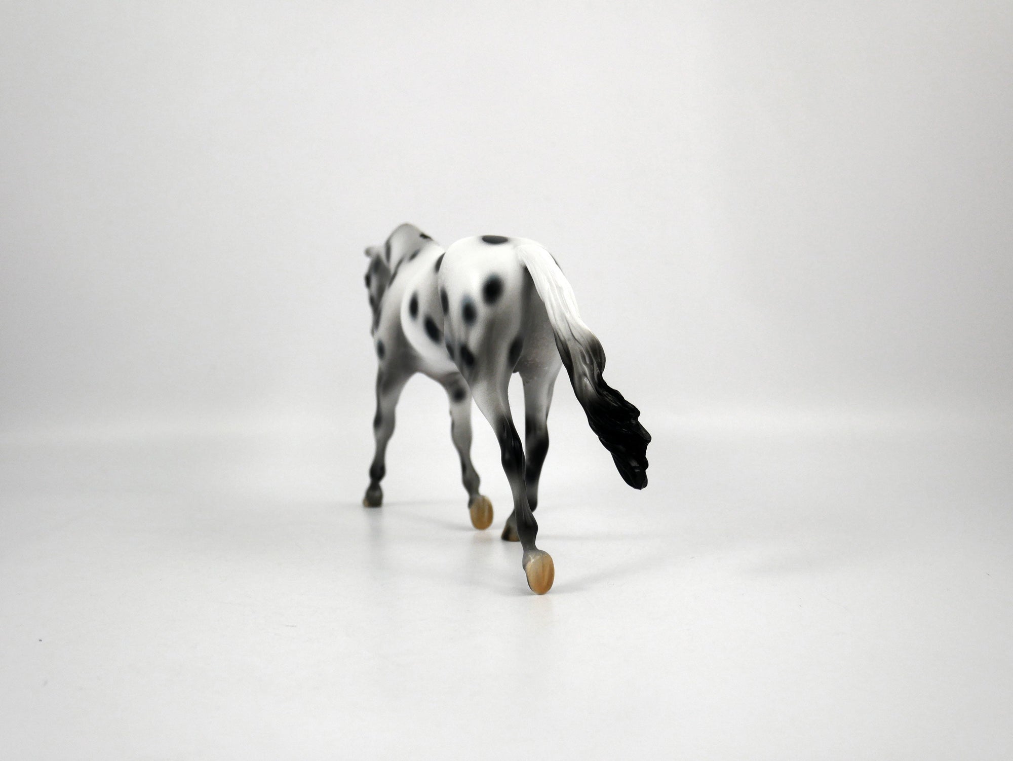 Muse-OOAK Appaloosa Pebbles Warmblood 1/8/21