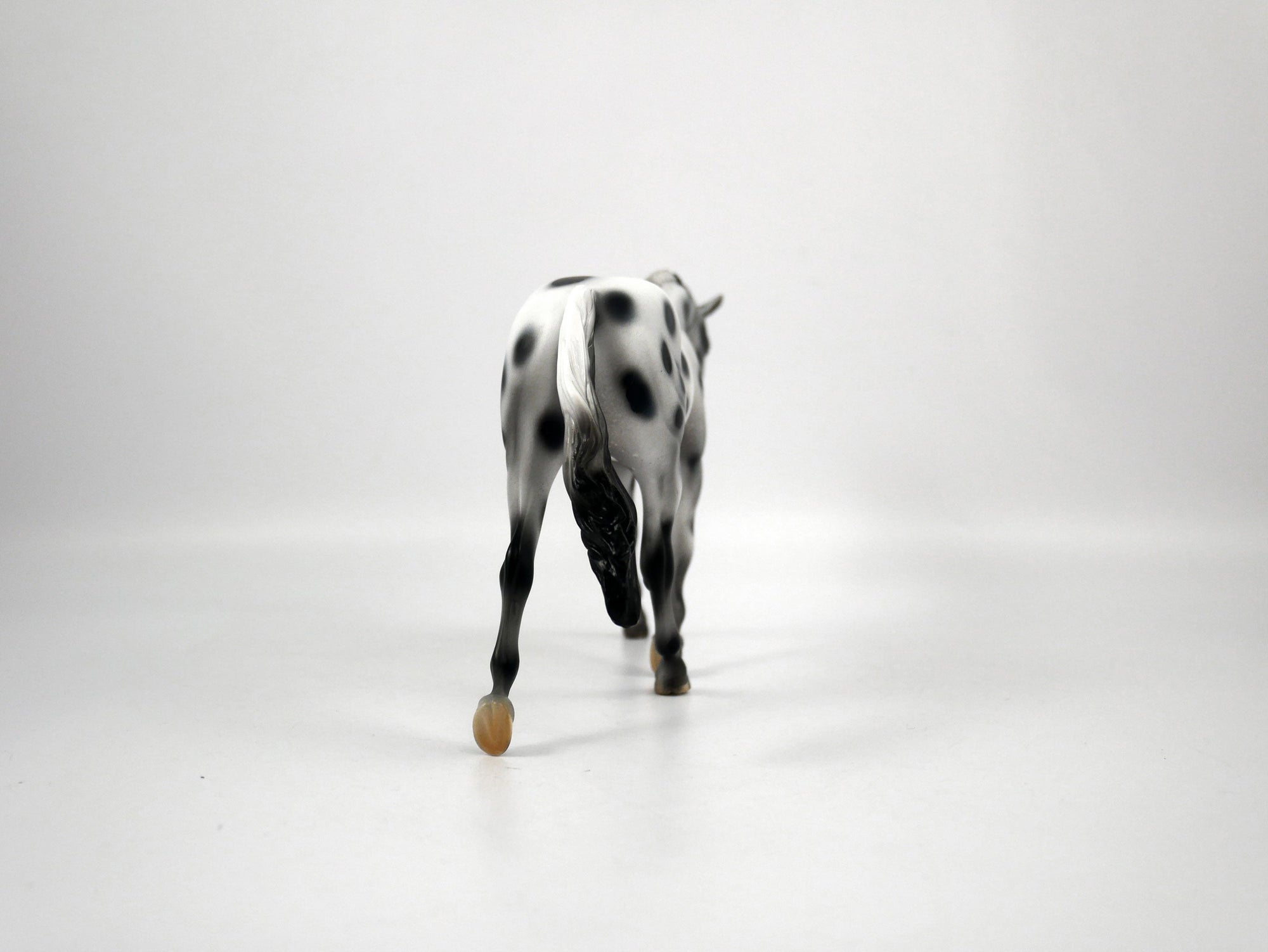 Muse-OOAK Appaloosa Pebbles Warmblood 1/8/21