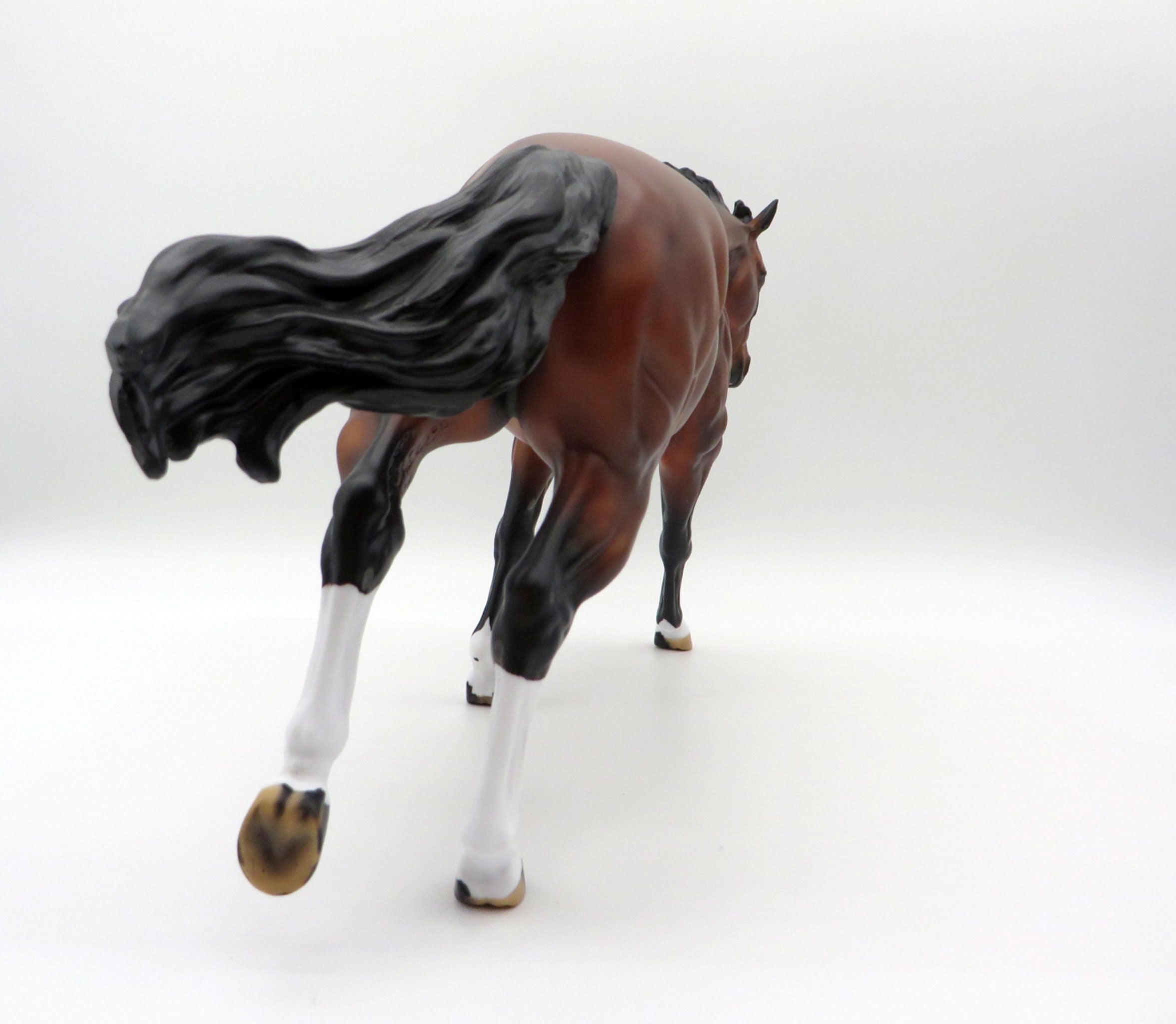 bay stallion mustang