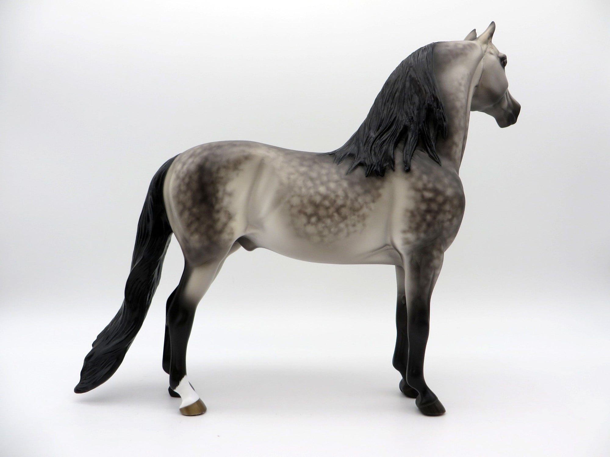 My Blue Heaven-OOAK Dusty Buckskin Morgan Painted by Sheryl Leisure 8/1/21