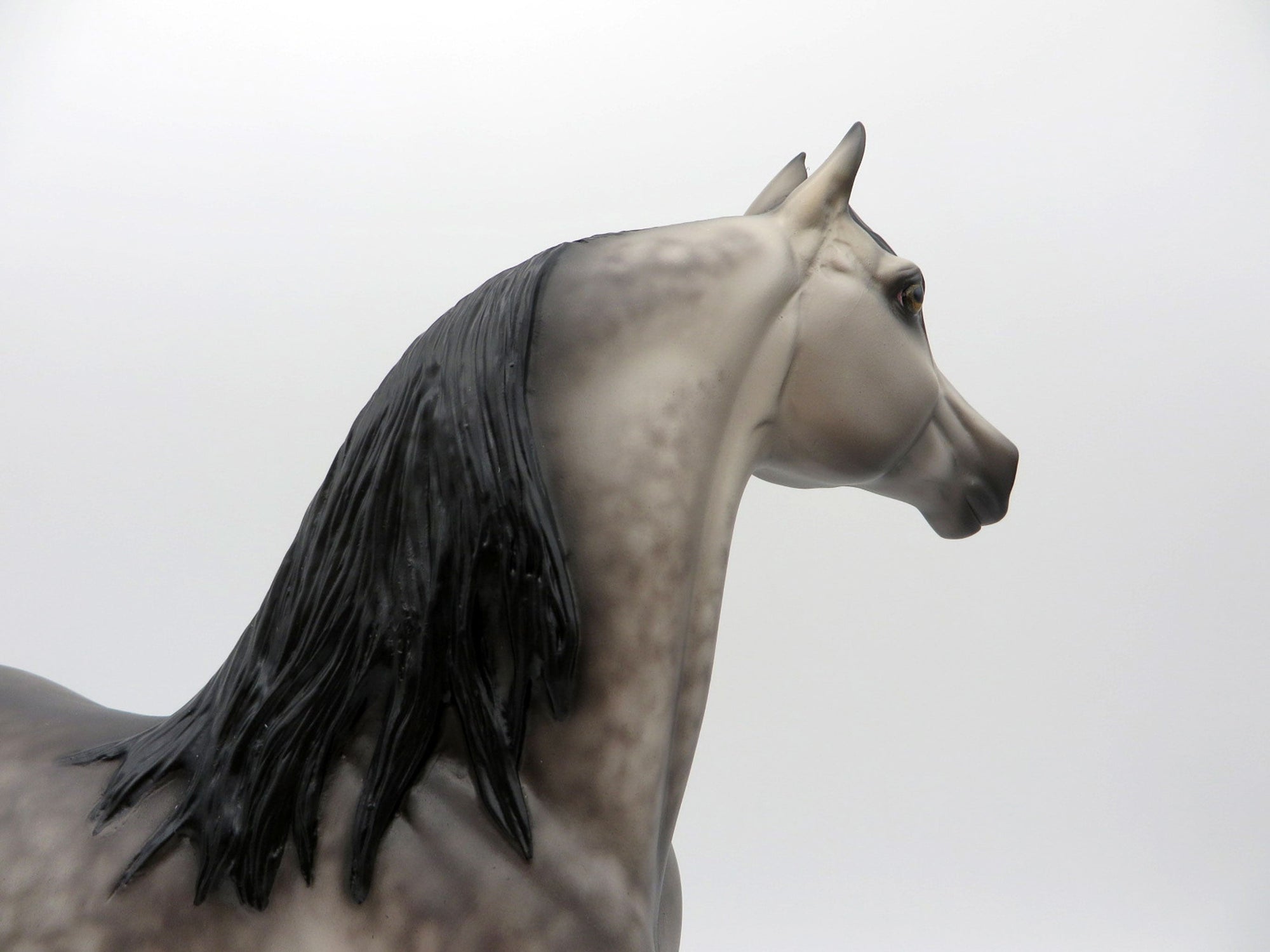 My Blue Heaven-OOAK Dusty Buckskin Morgan Painted by Sheryl Leisure 8/1/21