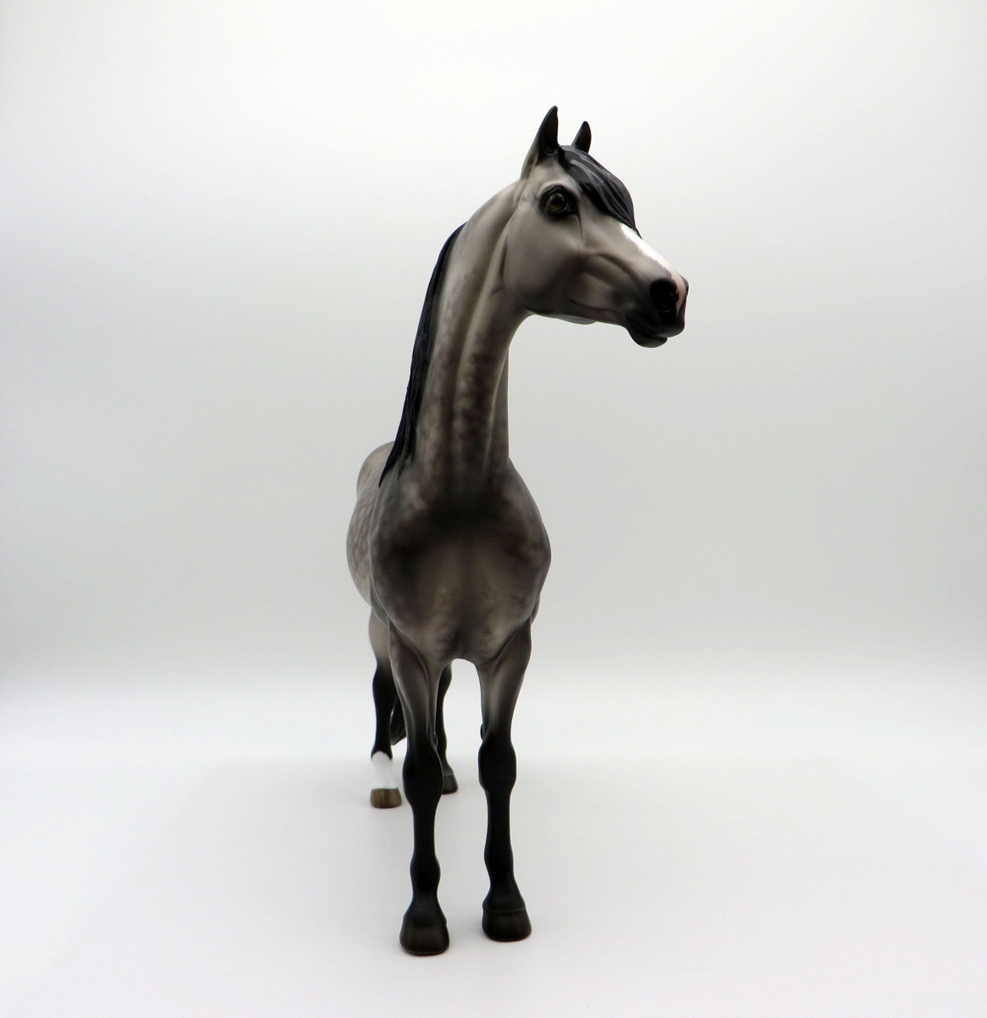 My Blue Heaven-OOAK Dusty Buckskin Morgan Painted by Sheryl Leisure 8/1/21