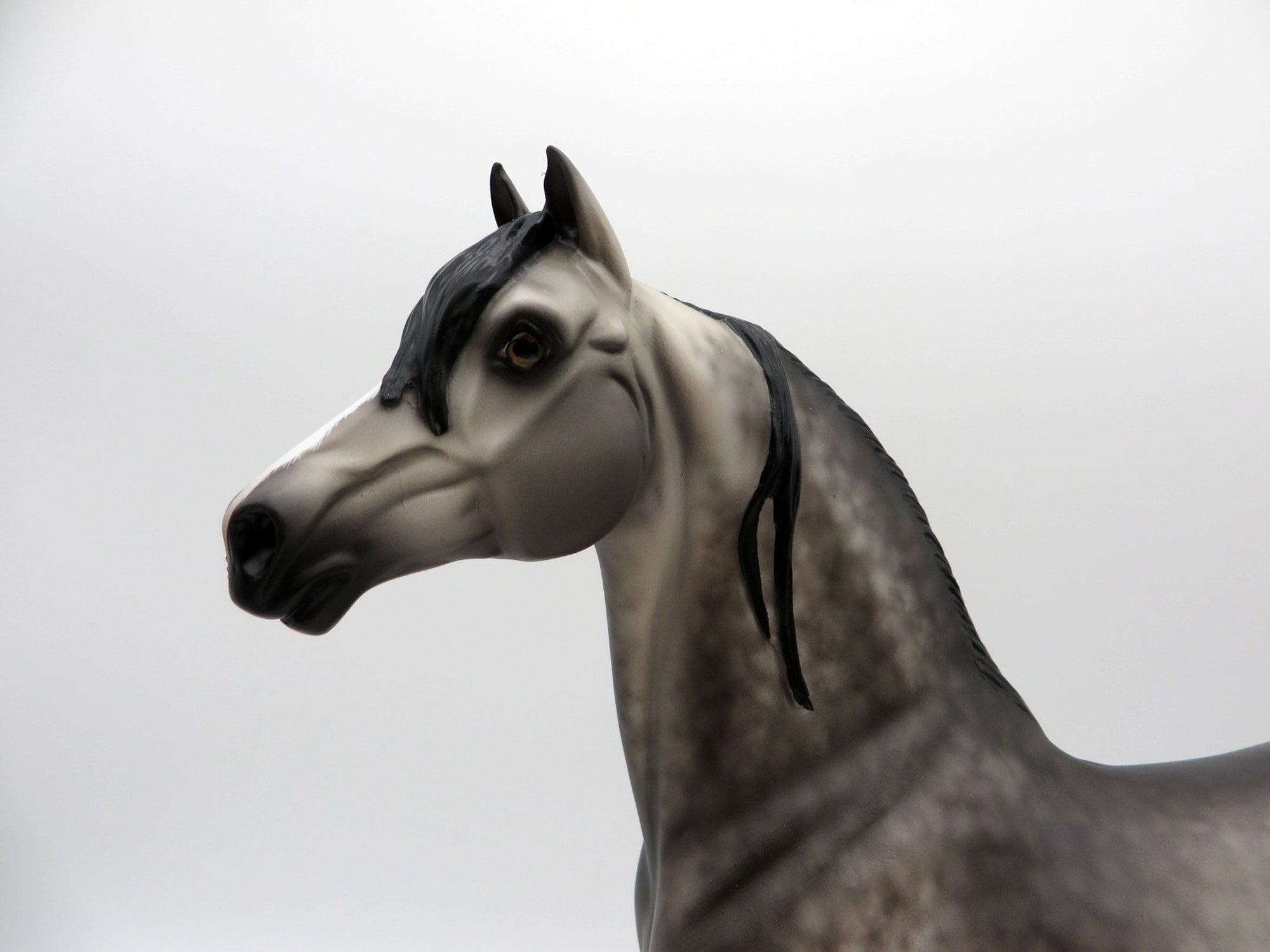 My Blue Heaven-OOAK Dusty Buckskin Morgan Painted by Sheryl Leisure 8/1/21